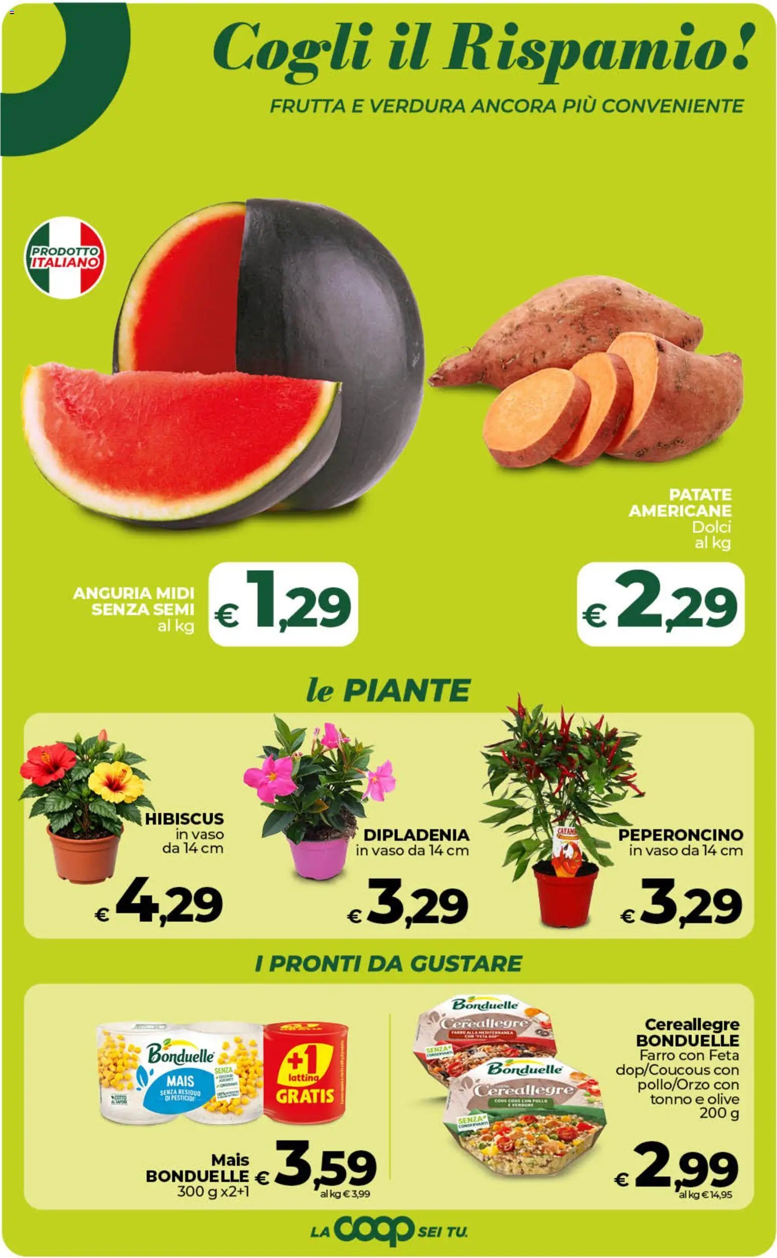 Ipercoop volantino Sicilia