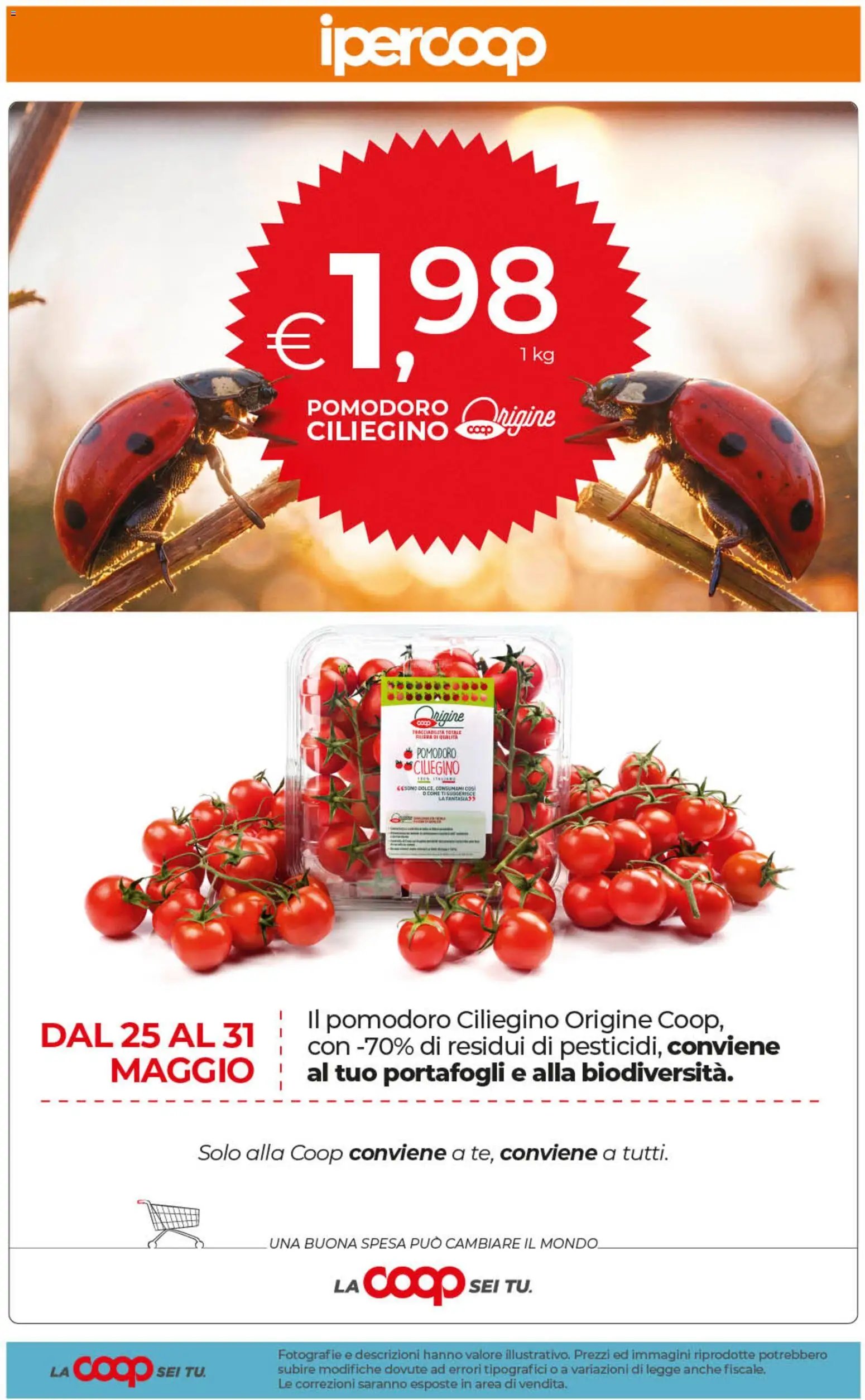 Ipercoop volantino Sicilia