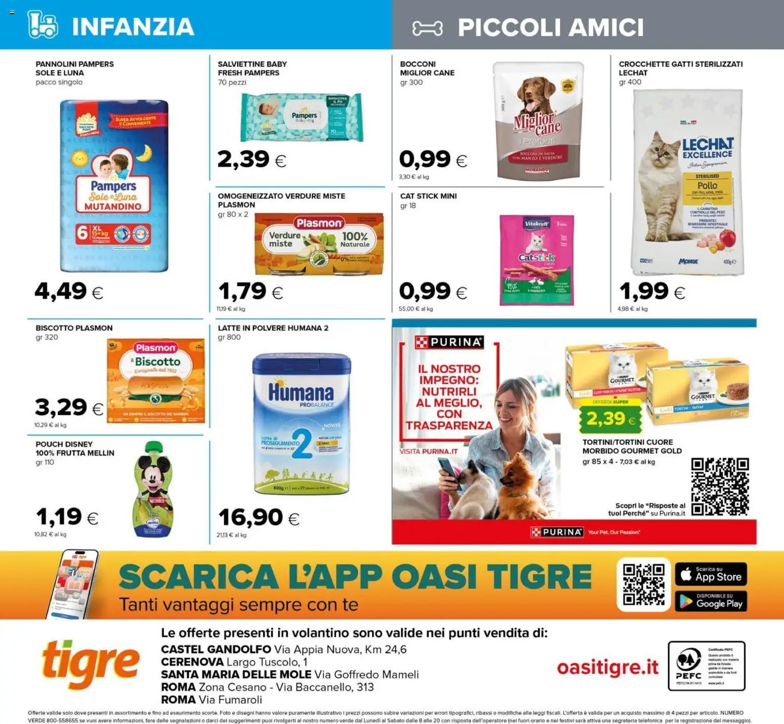 Tigre volantino Roma