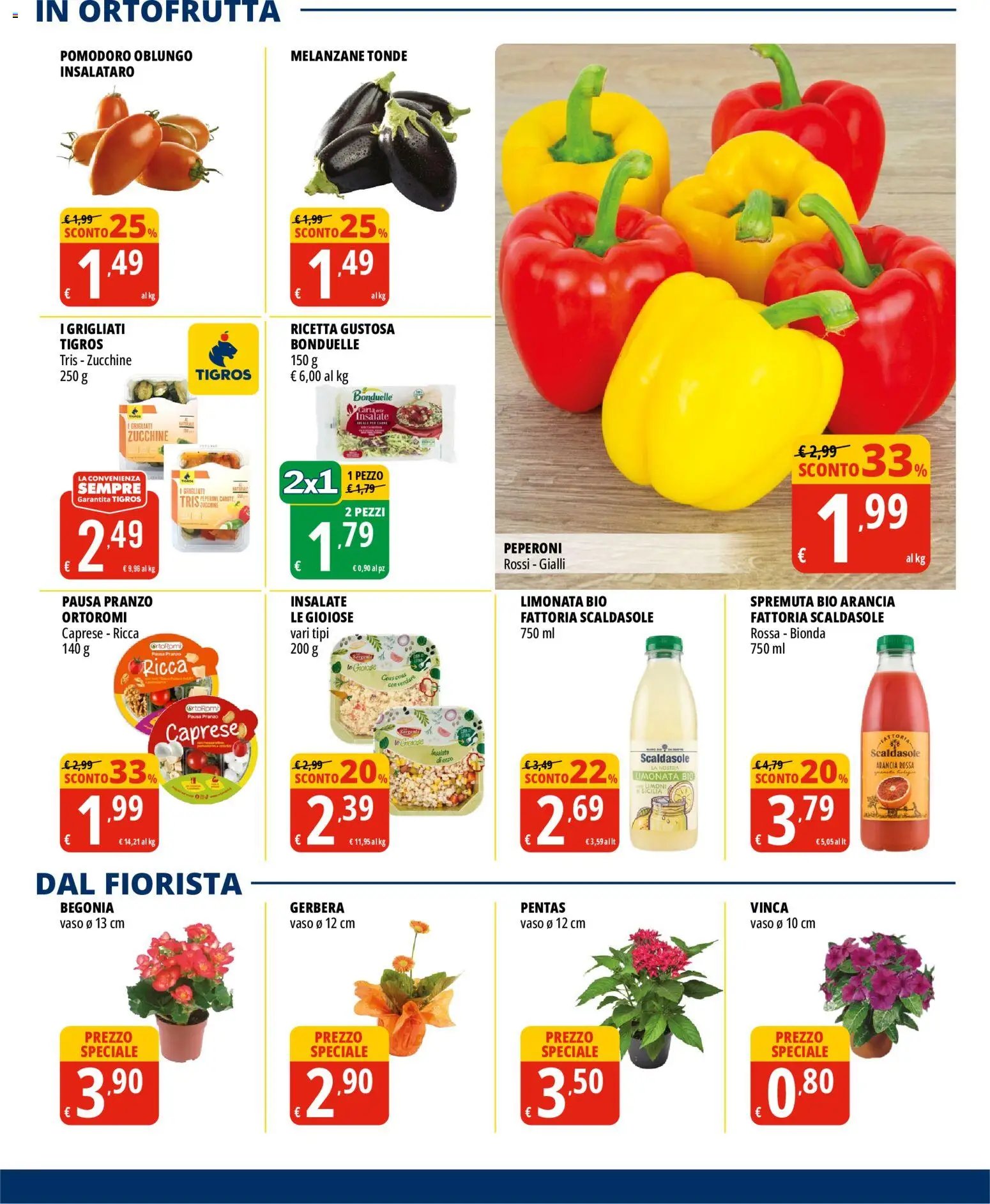 Tigros volantino