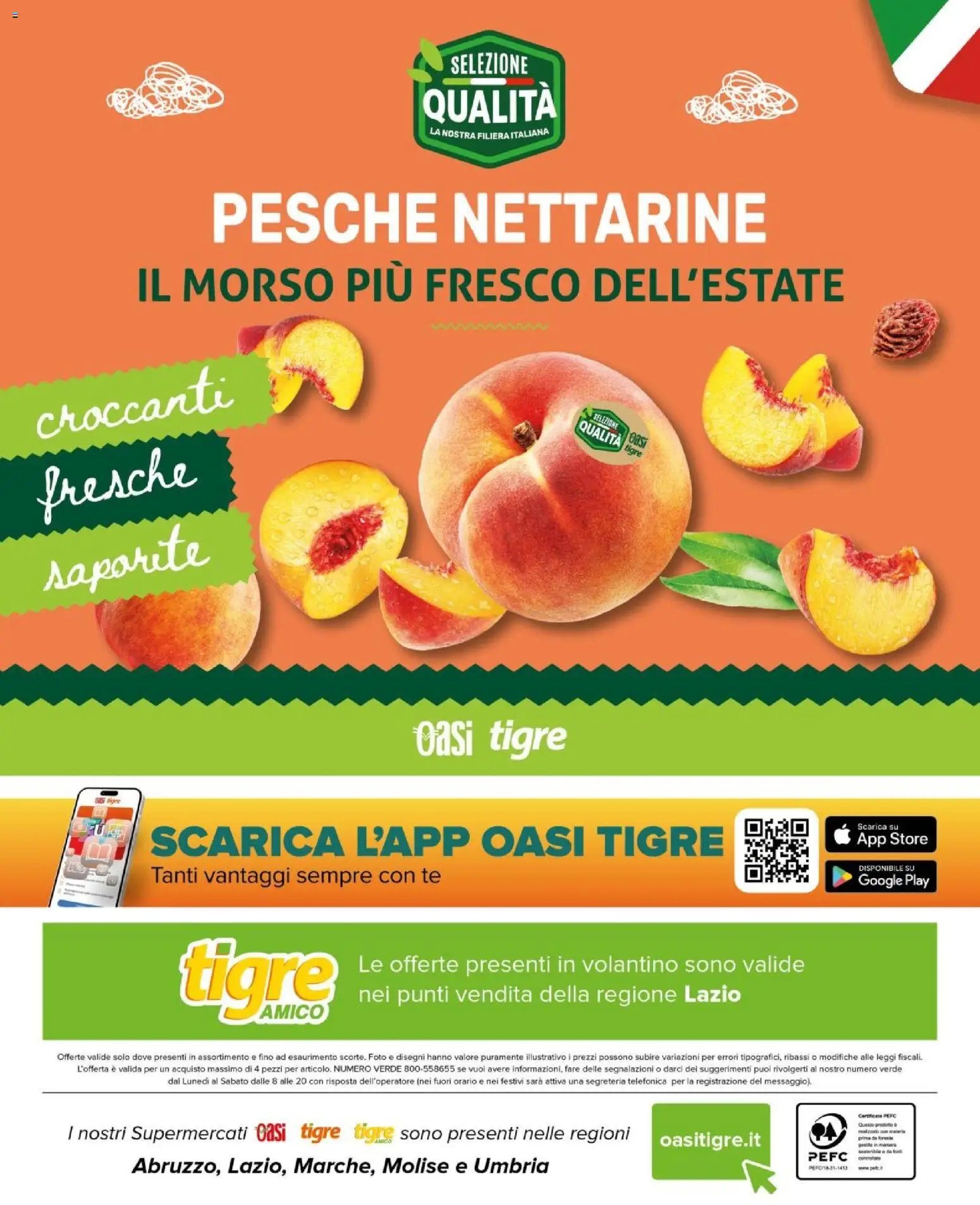 Tigre volantino Amico