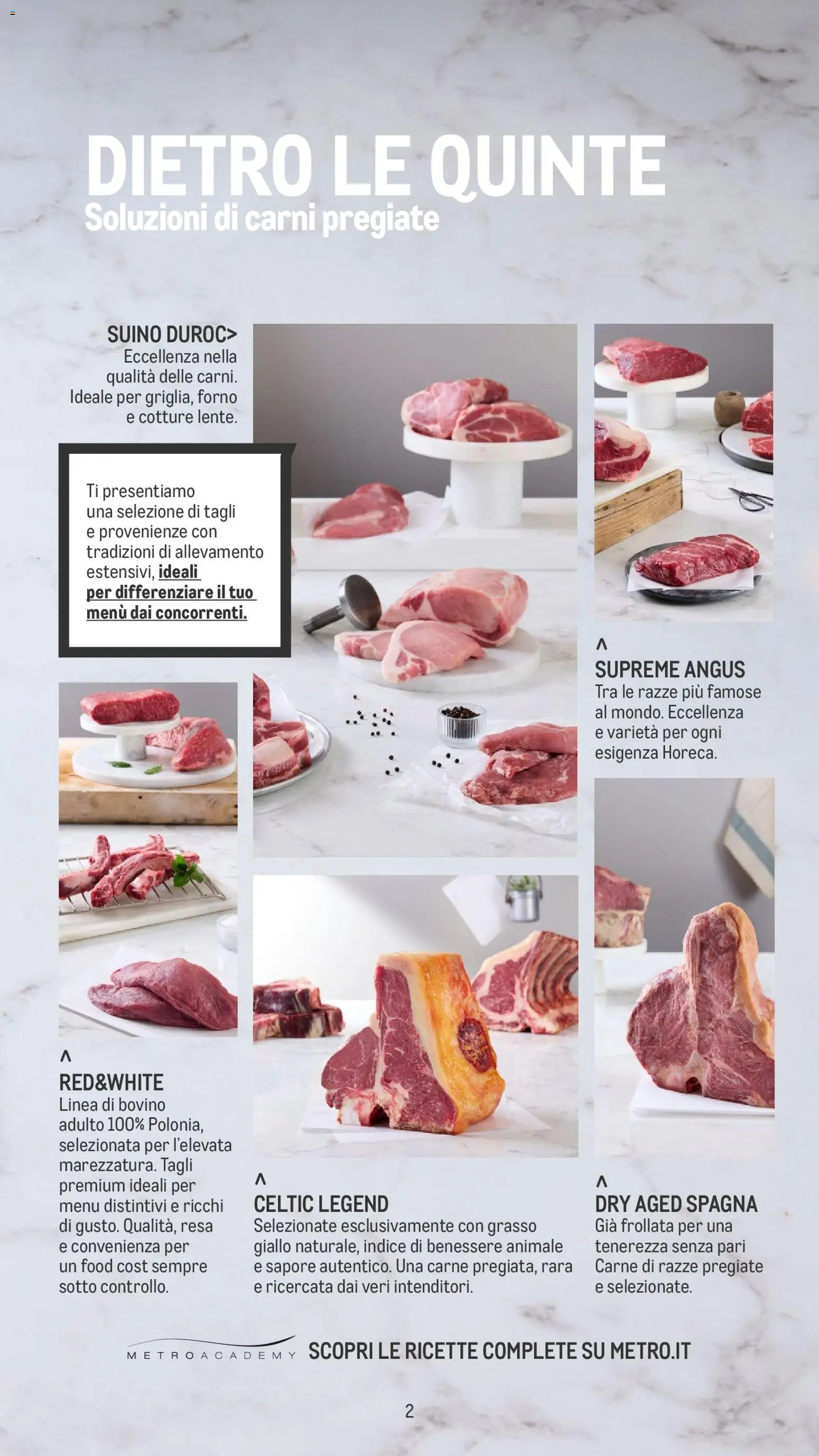 Metro Carne catalogo (2025-11-26 - 2026-10-30)