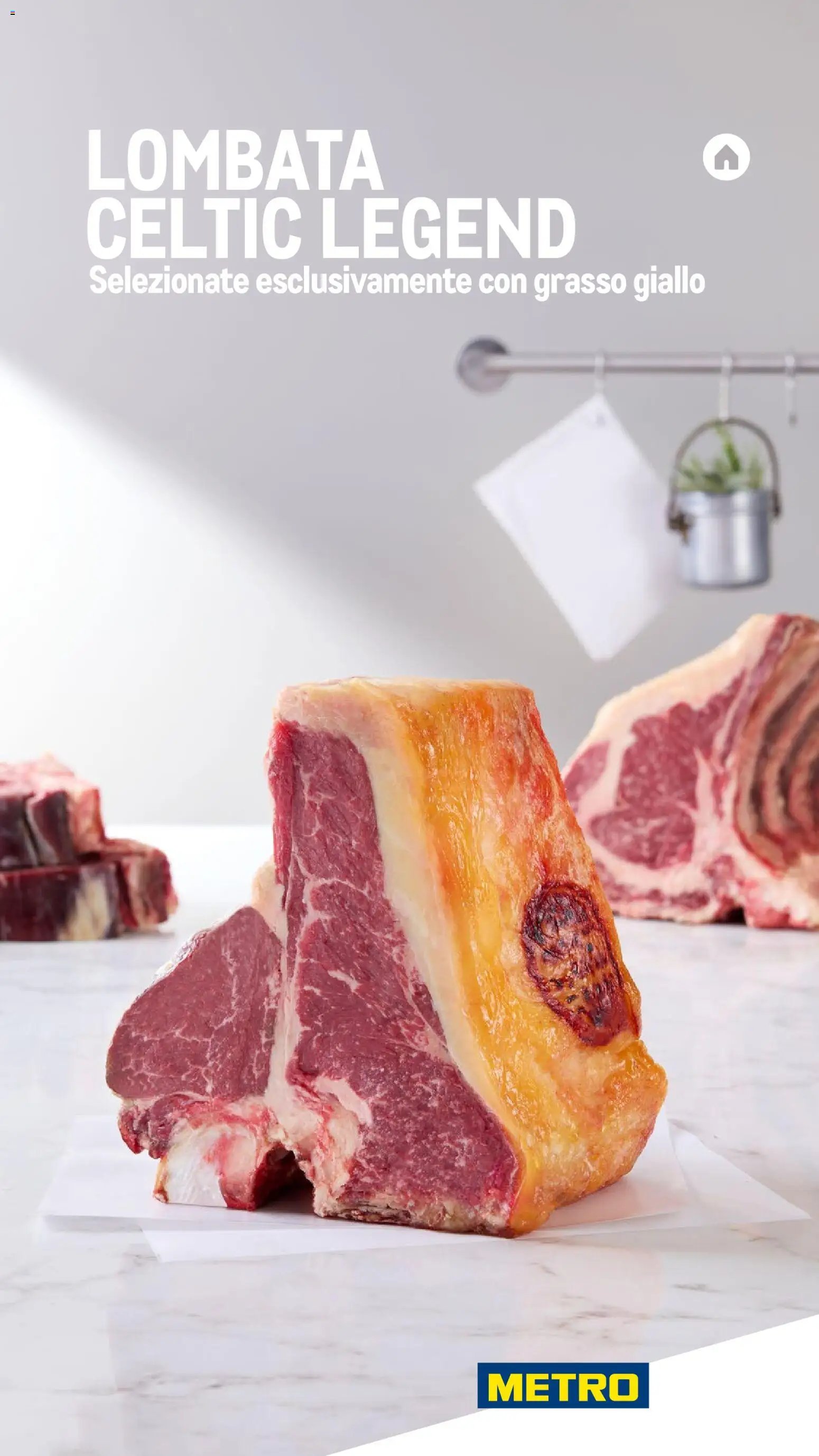 Metro Carne catalogo (2025-11-26 - 2026-10-30)