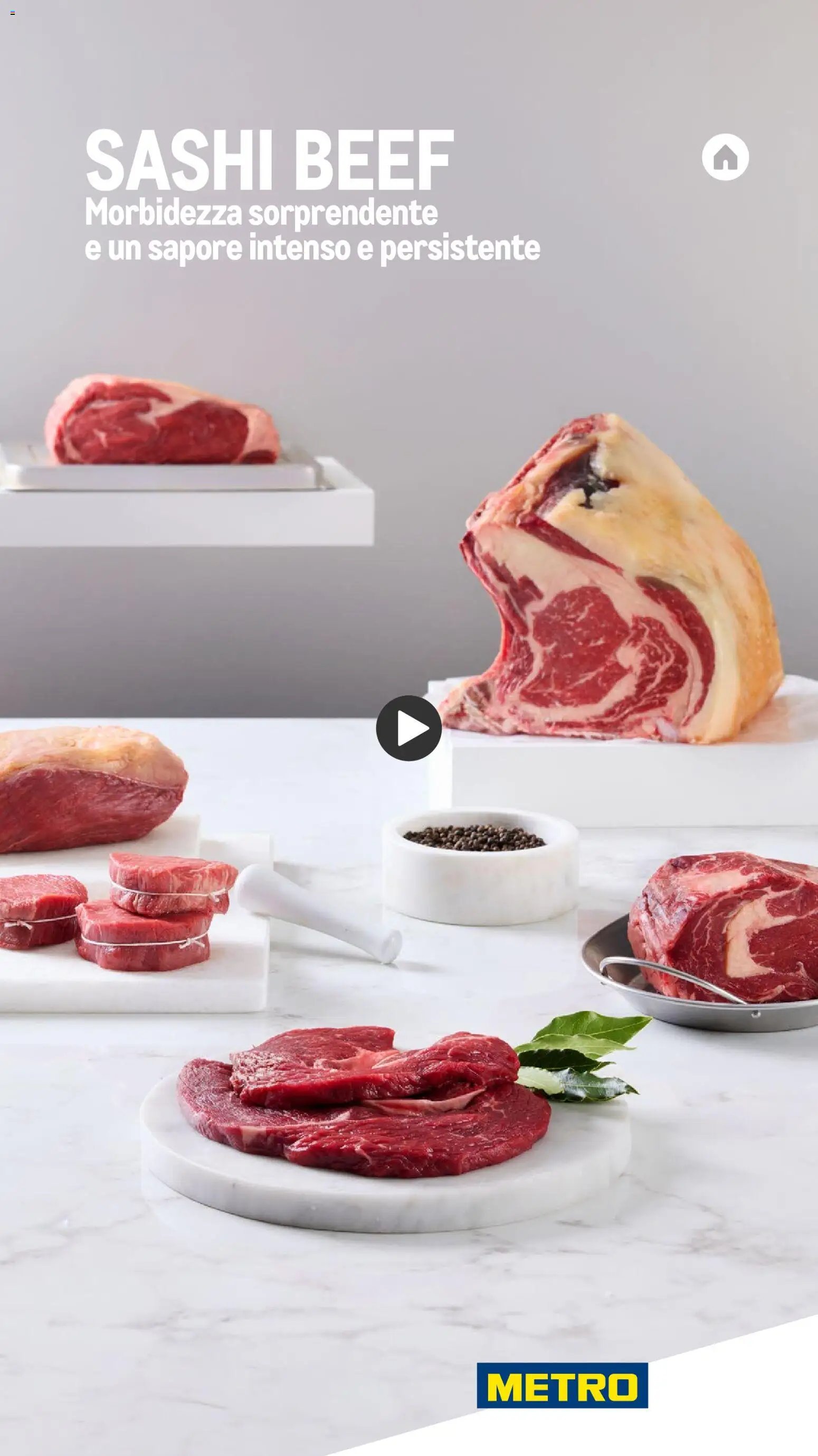Metro Carne catalogo (2025-11-26 - 2026-10-30)