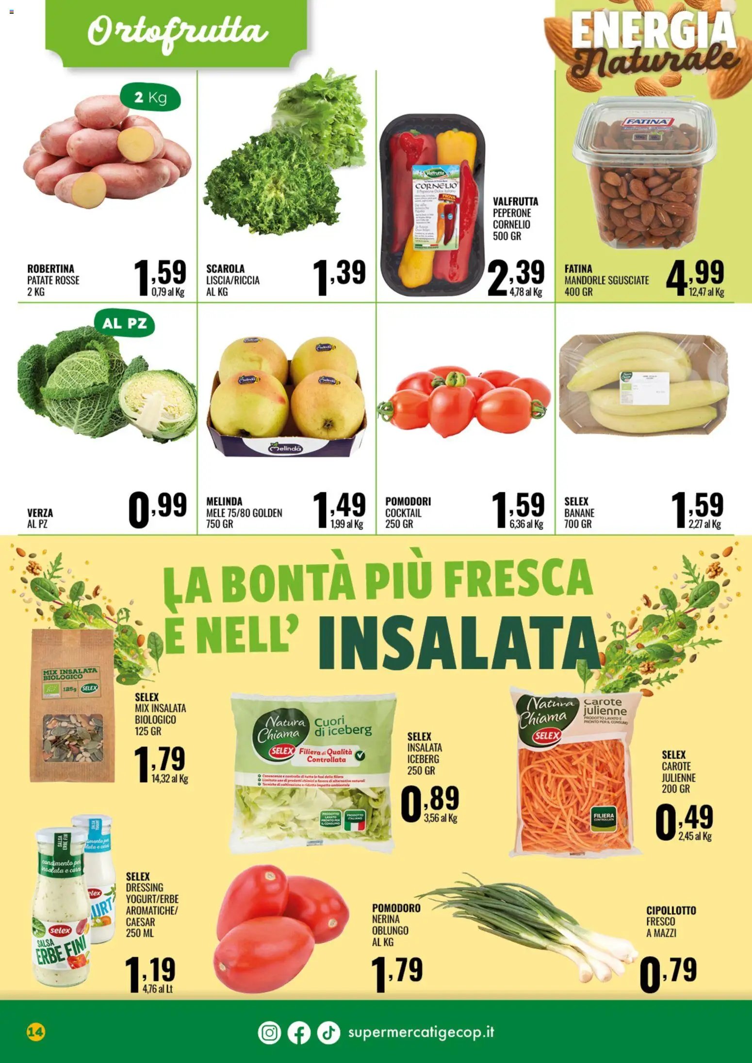 GECOP volantino