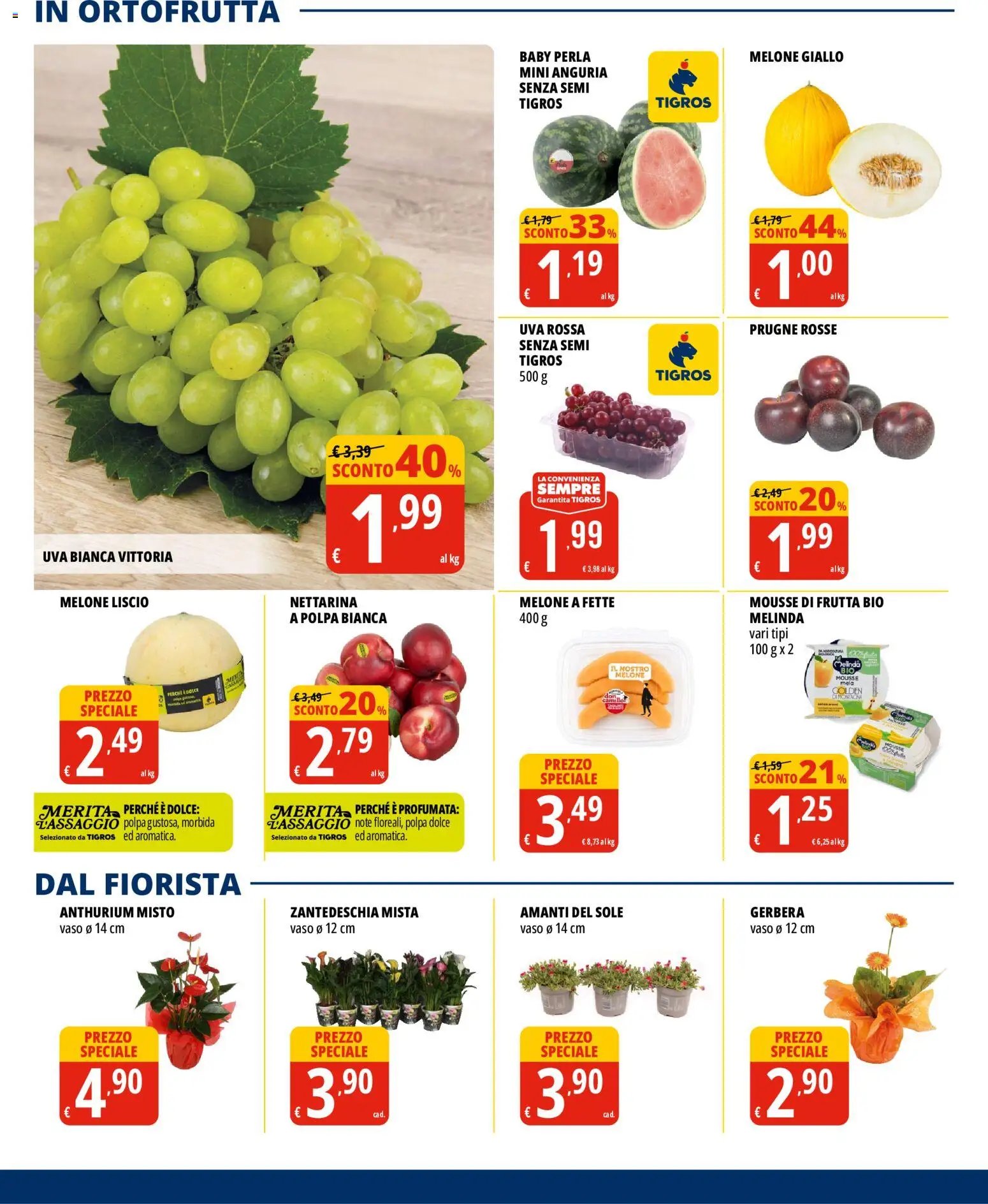 Tigros volantino