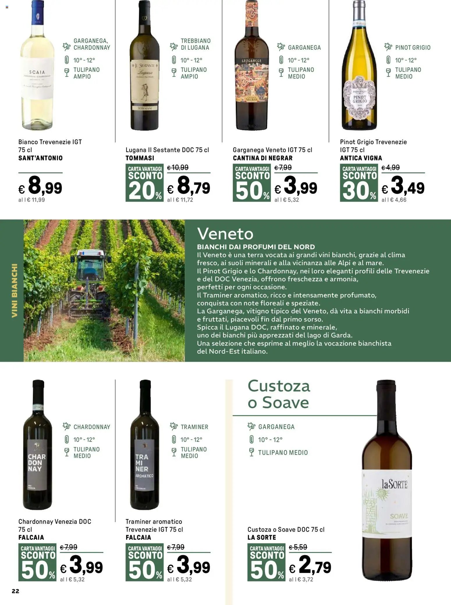 Iper Vino catalogo (2026-02-16 - 2026-03-15)