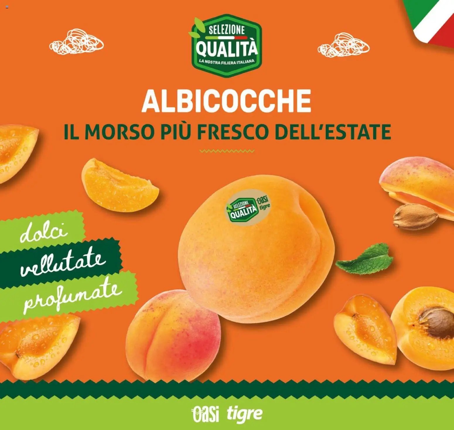 Tigre volantino Cesano