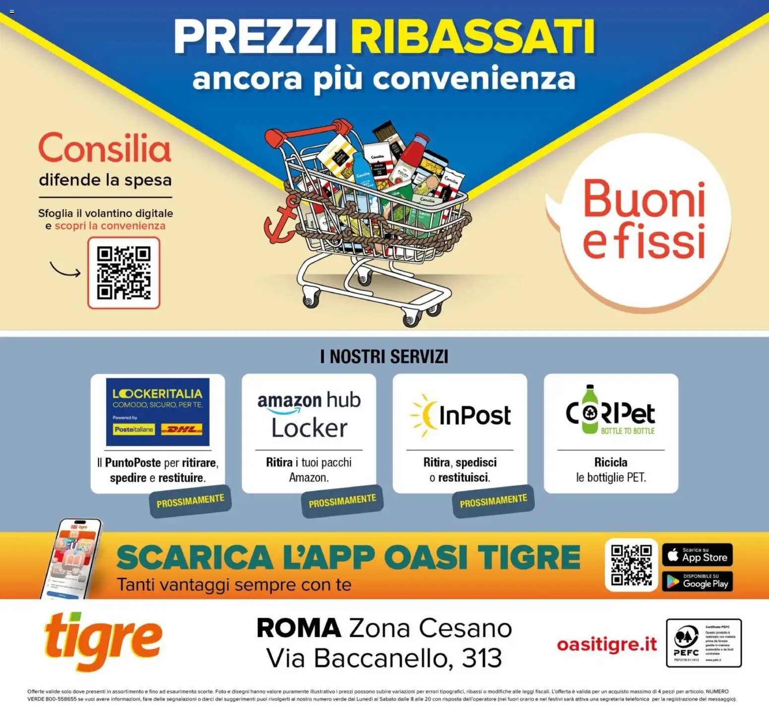 Tigre volantino Cesano