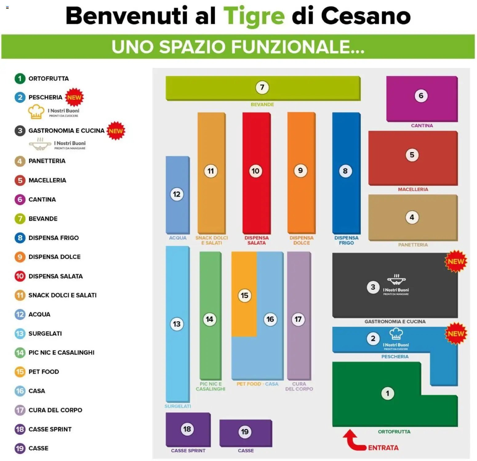 Tigre volantino Cesano