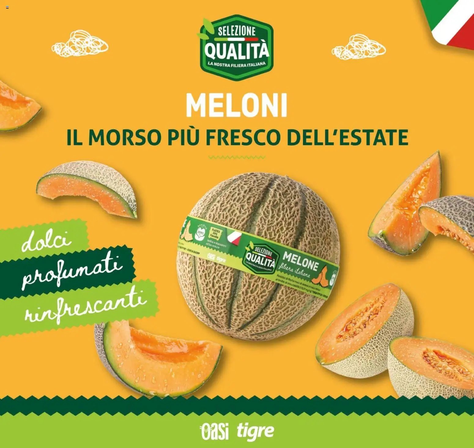 Tigre volantino Cesano