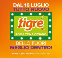 Tigre volantino Cesano