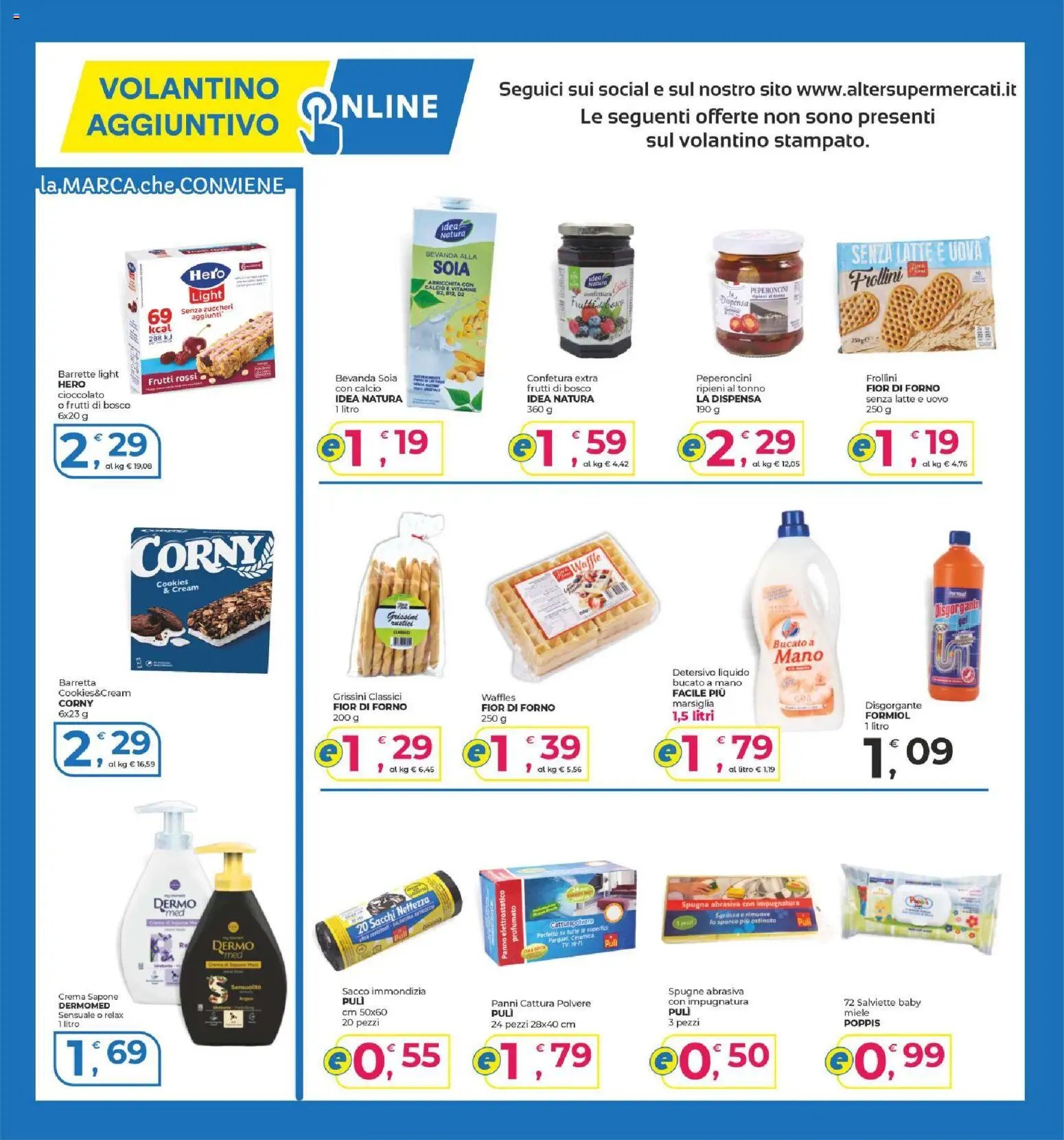 Alter Discount volantino