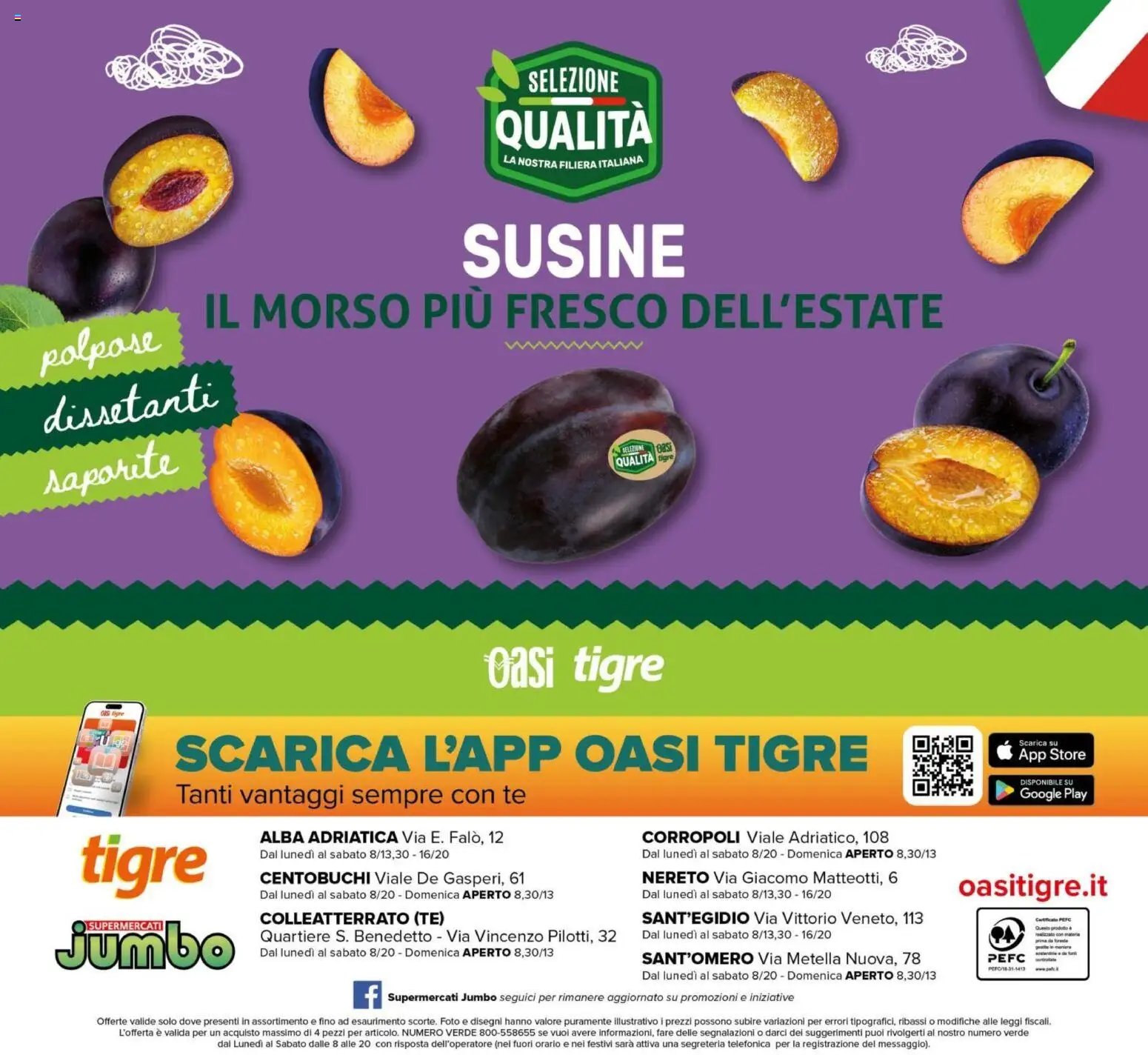 Tigre volantino Jumbo