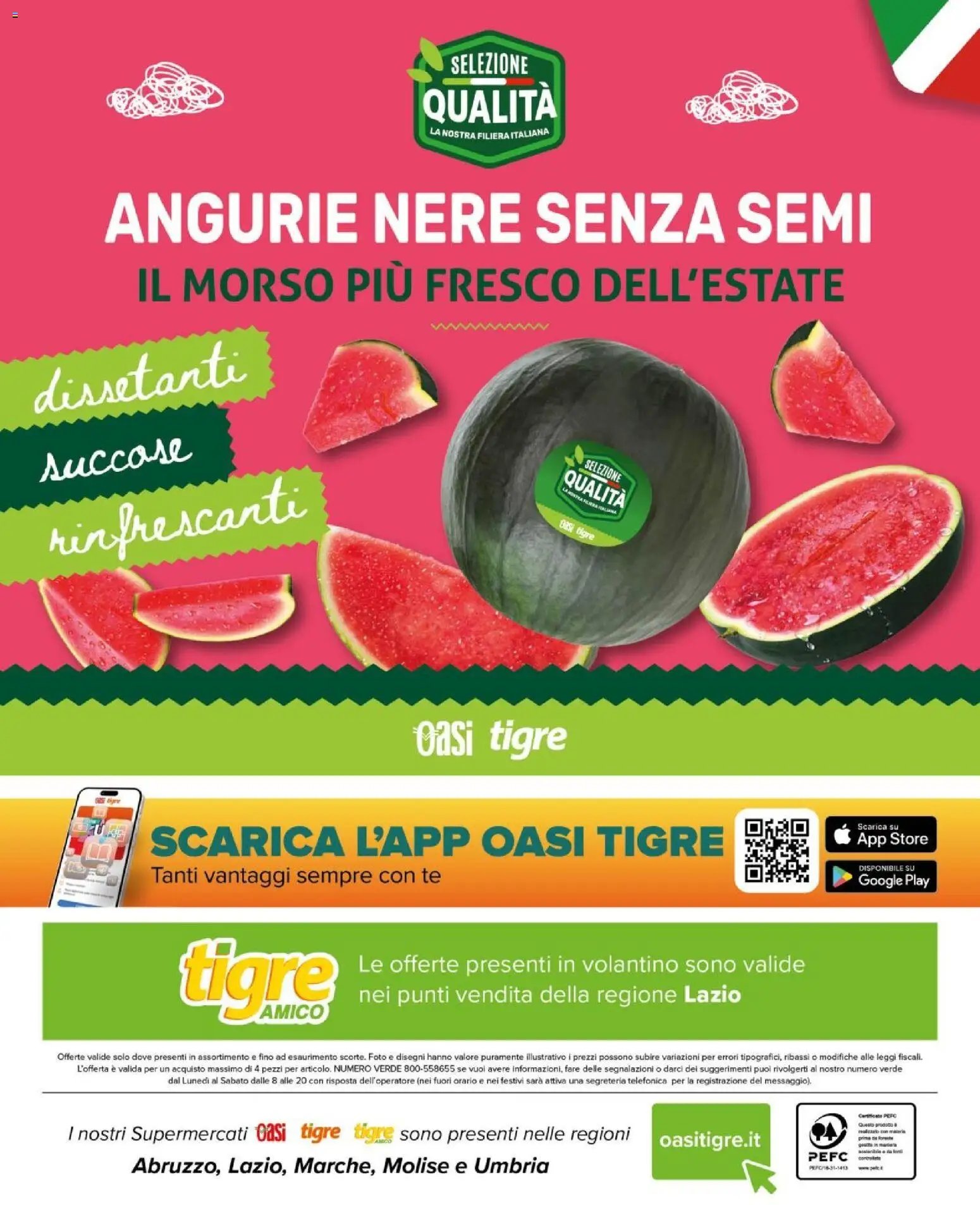 Tigre volantino Amico