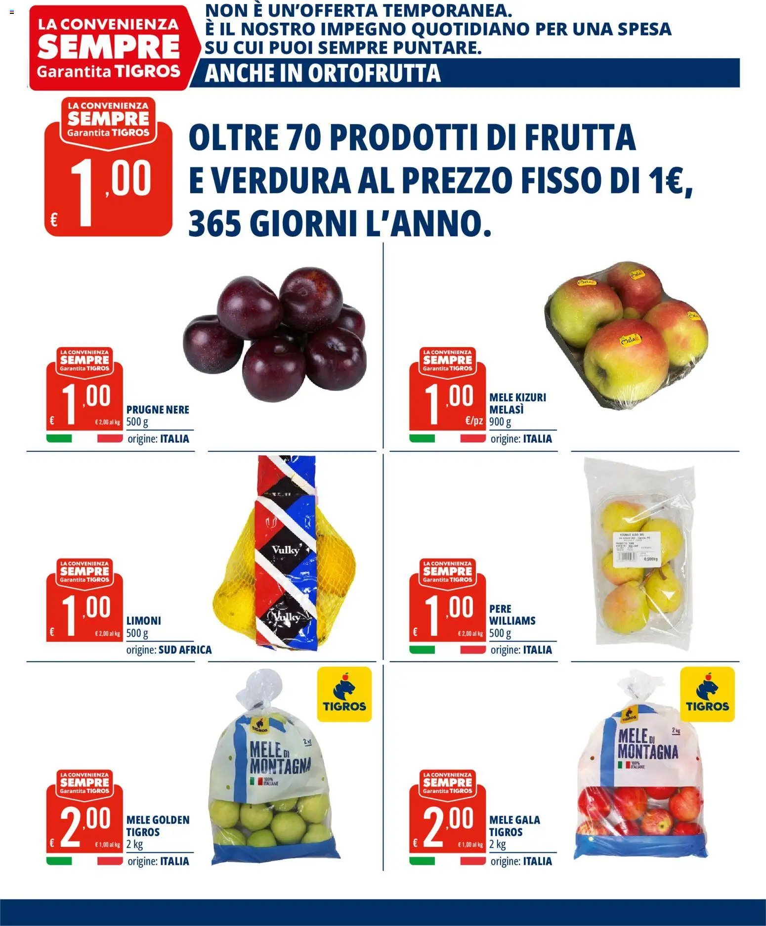 Tigros volantino
