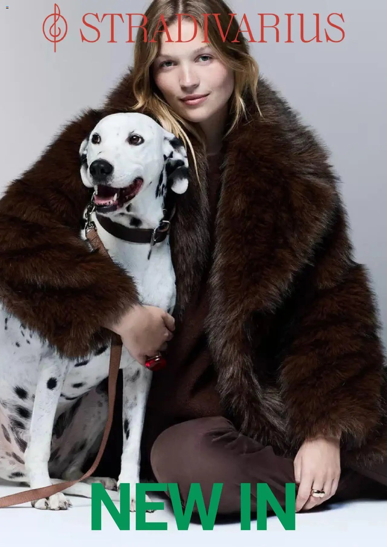 Volantino Stradivarius	 (2025-10-21 - 2025-11-21)