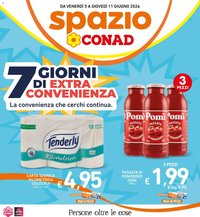 Spazio Conad volantino Extra Convenienza