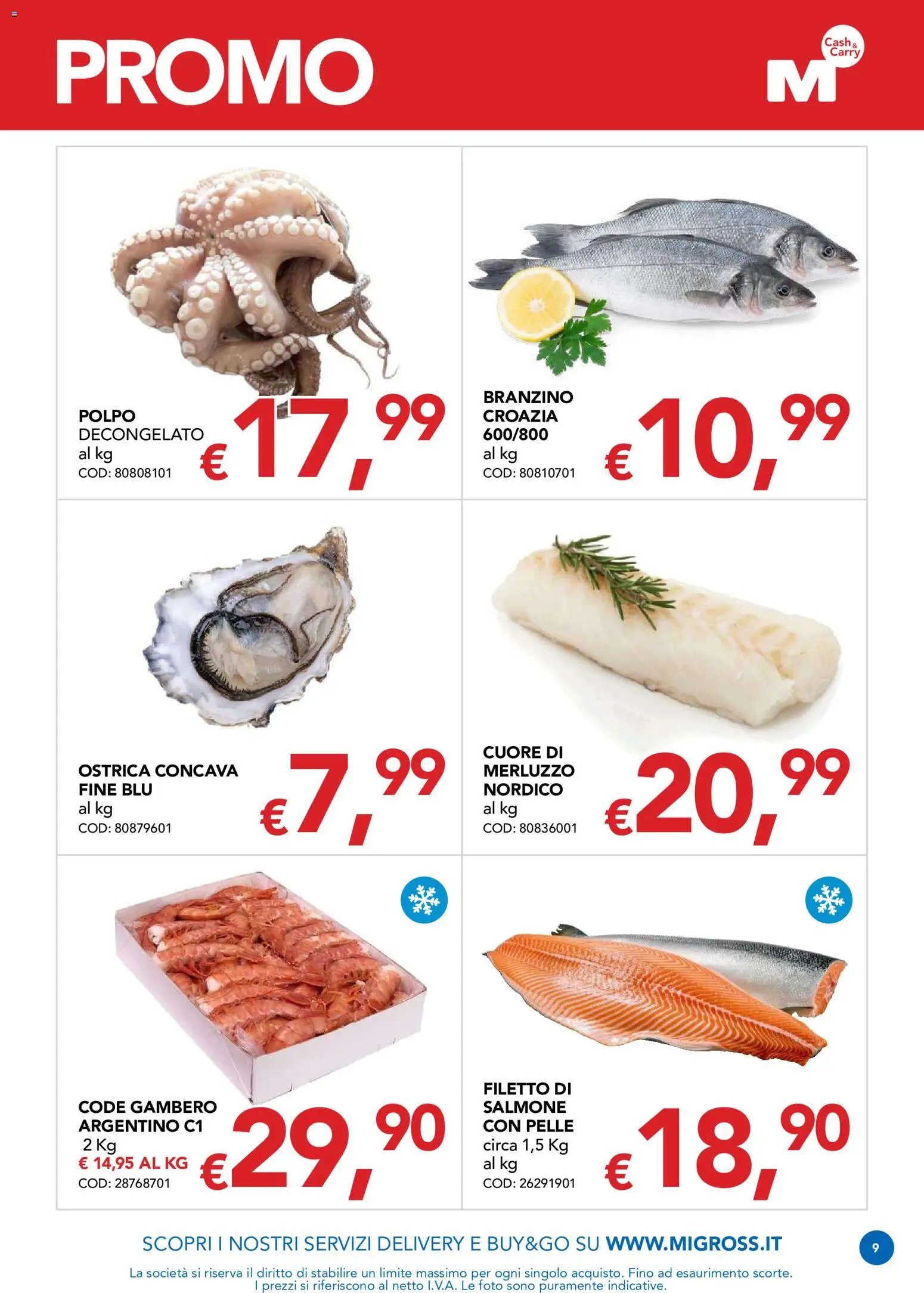 Migross volantino Promo