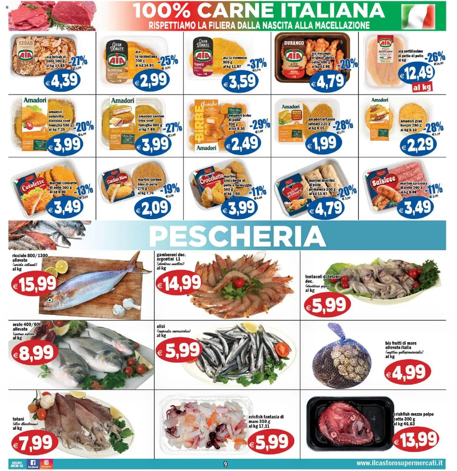 Il Castoro volantino
