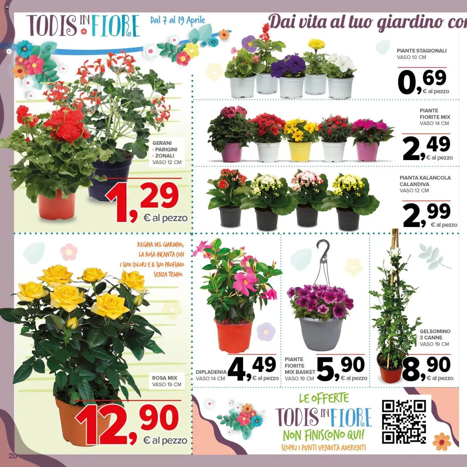 Todis volantino (2026-04-07 - 2026-04-19)