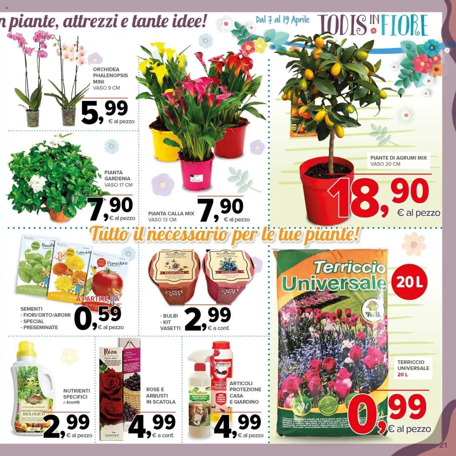 Todis volantino (2026-04-07 - 2026-04-19)