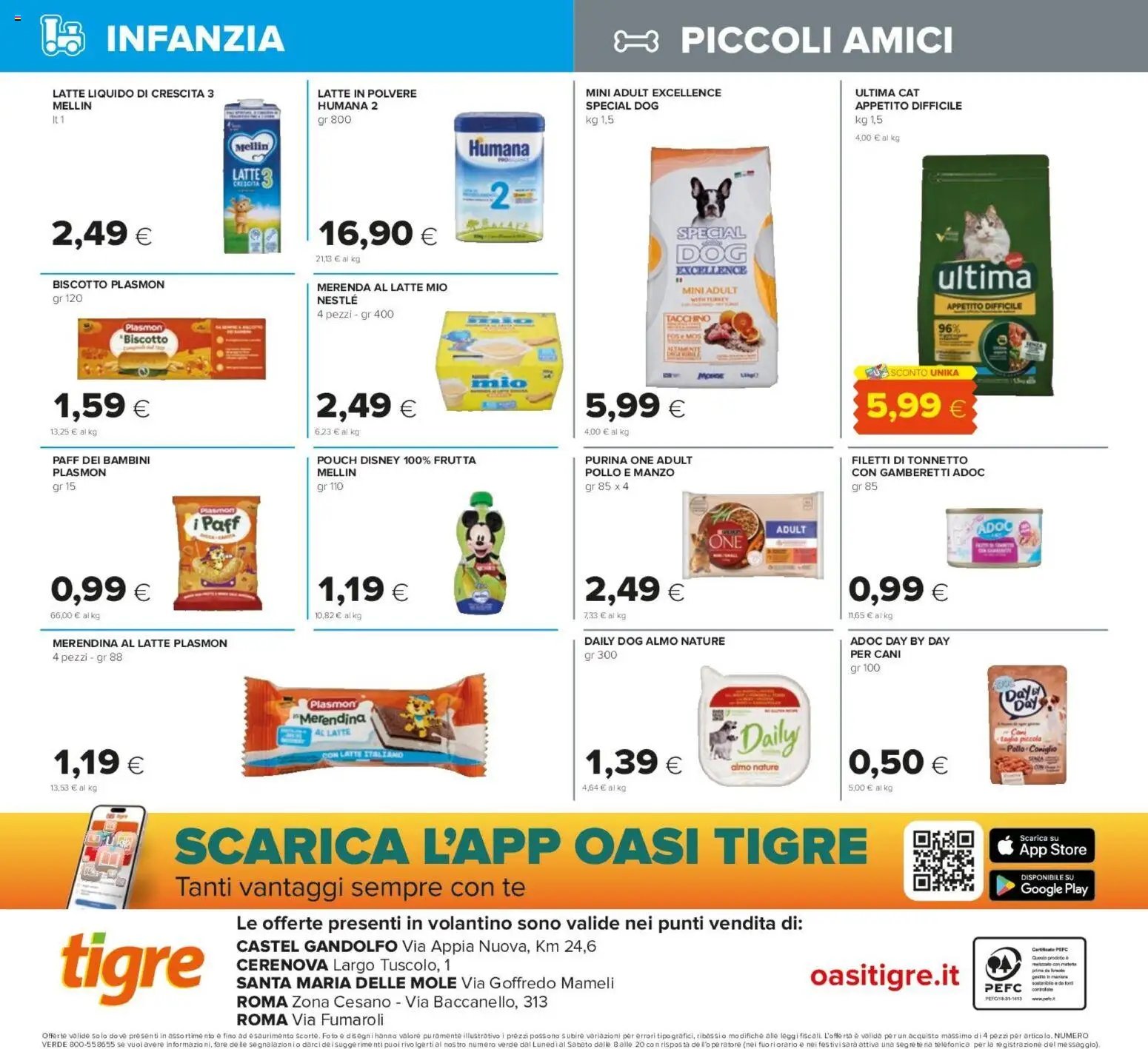 Tigre volantino Roma