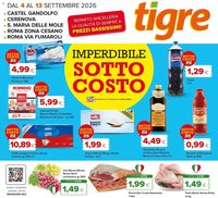 Tigre volantino Roma
