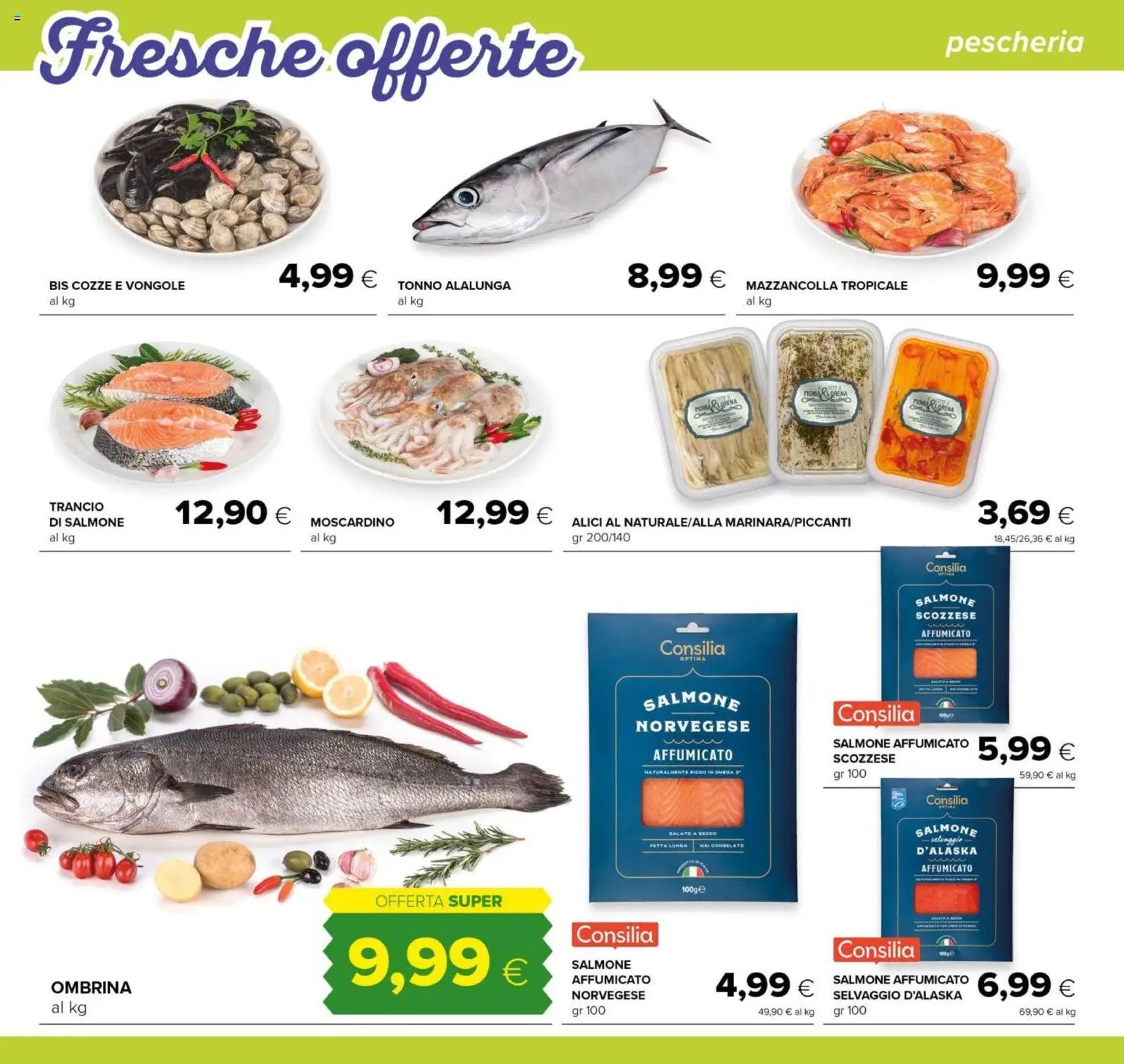 Tigre volantino Jumbo