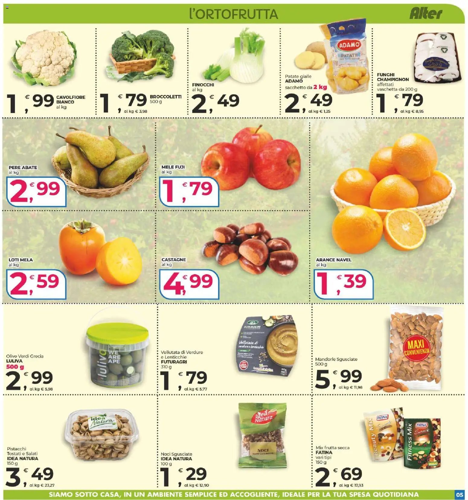 Alter Discount volantino