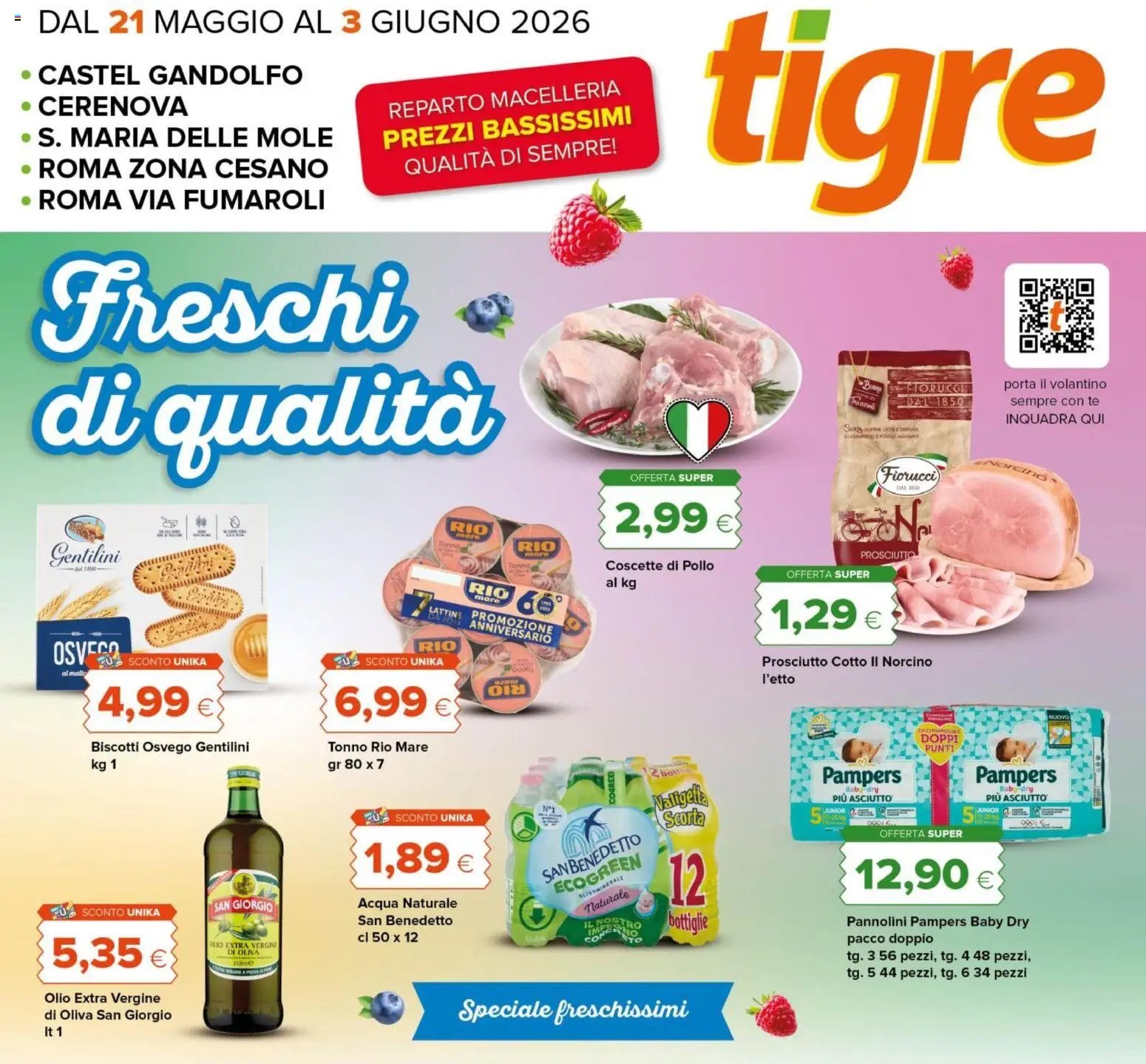 Tigre volantino Roma