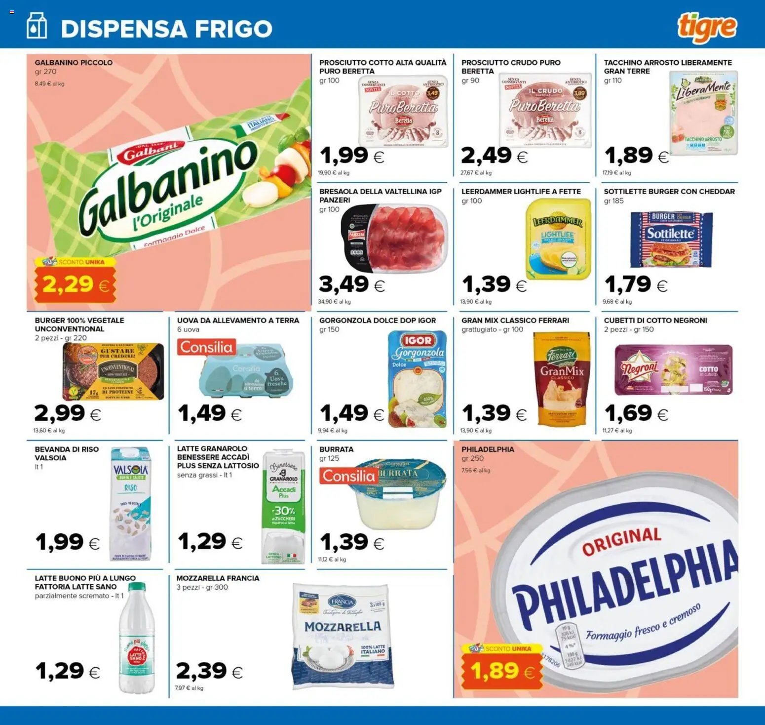 Tigre volantino Roma