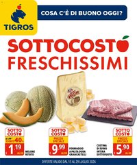 Tigros volantino