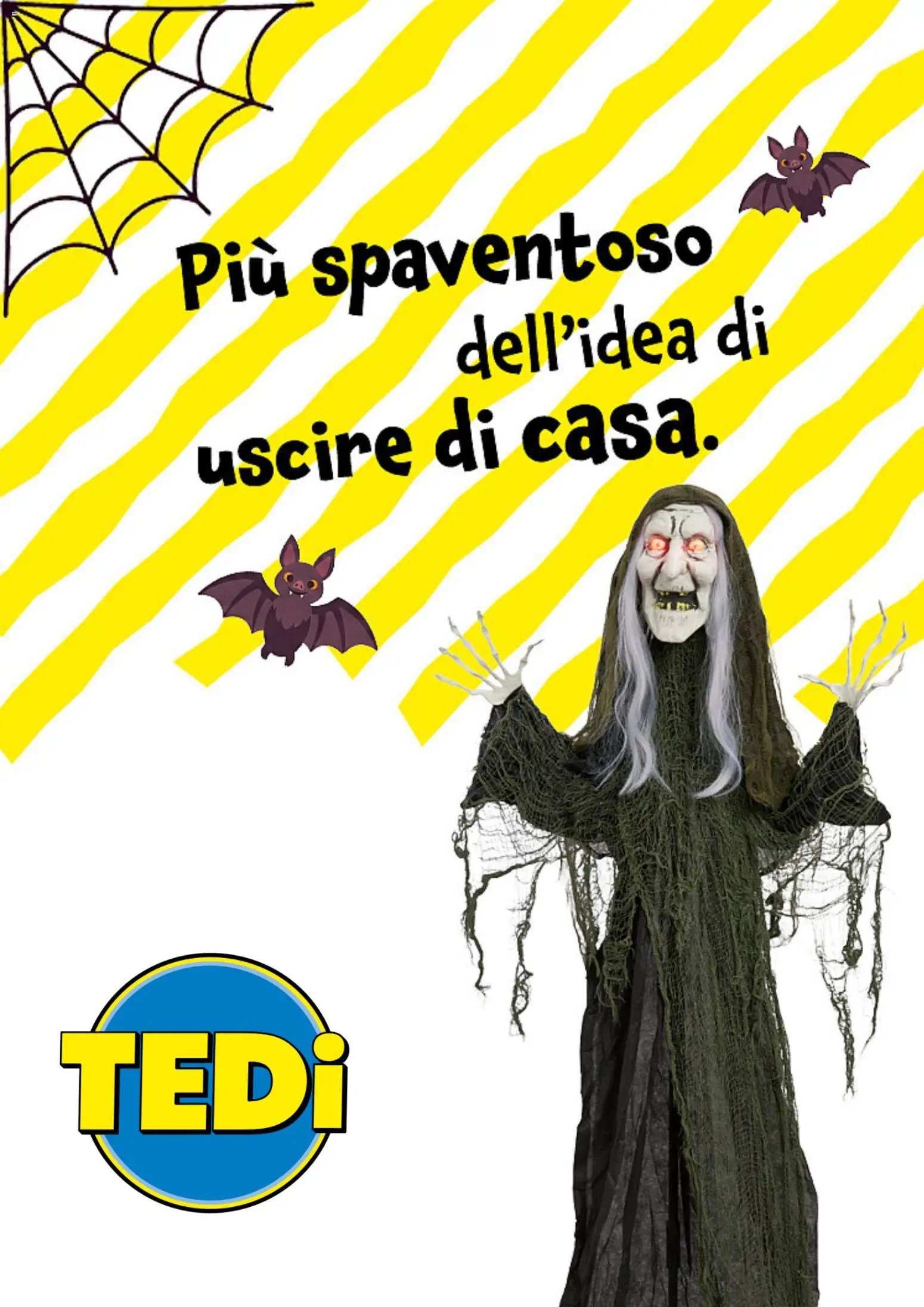 TEDi volantino