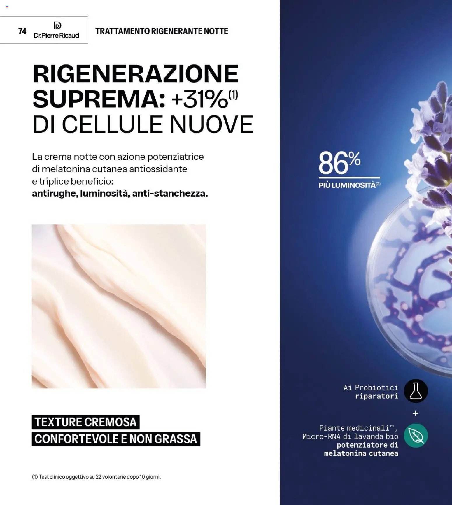 Catalogo Stanhome 10 2026