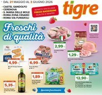 Tigre volantino Roma