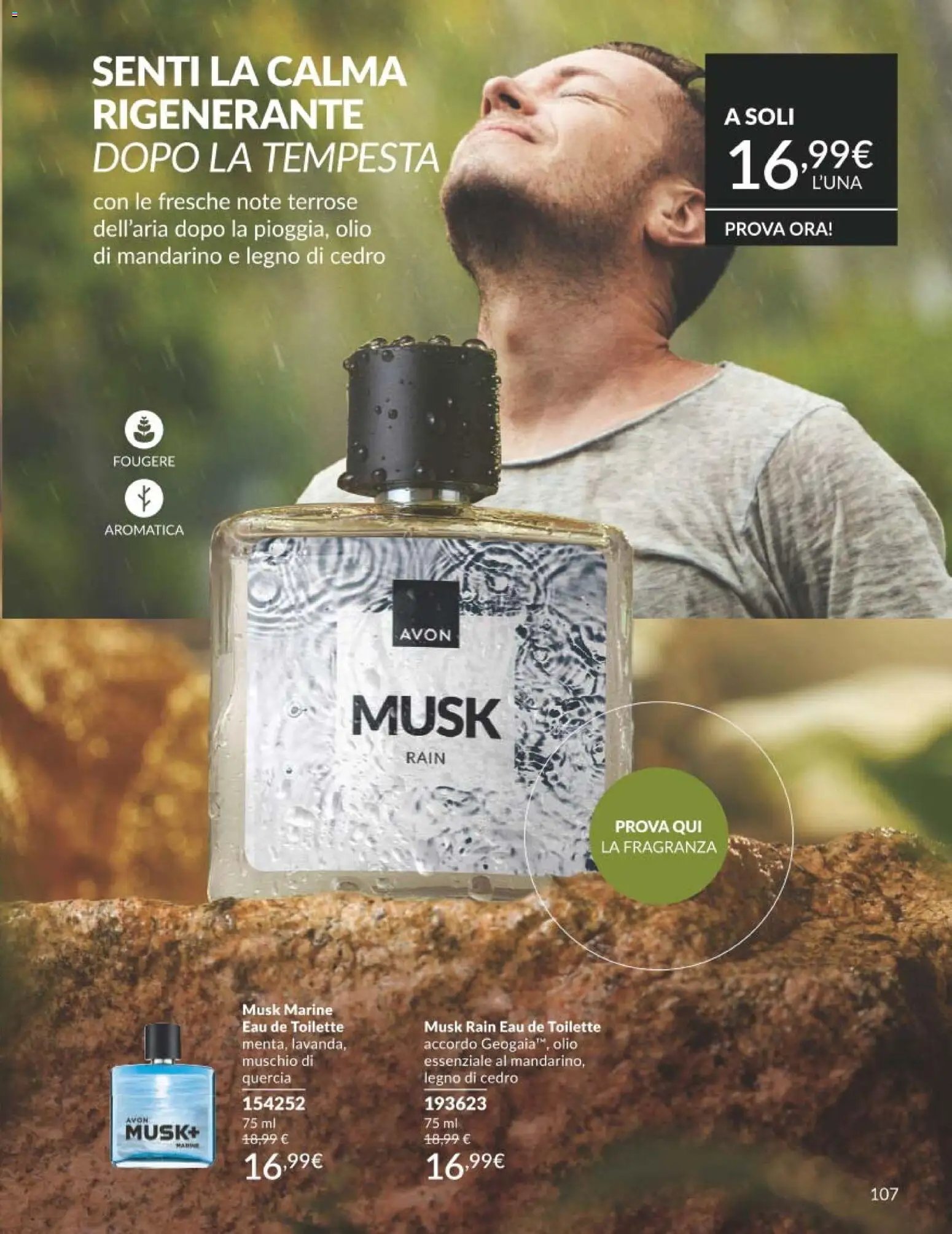 Avon catalogo - campagna 8/2026