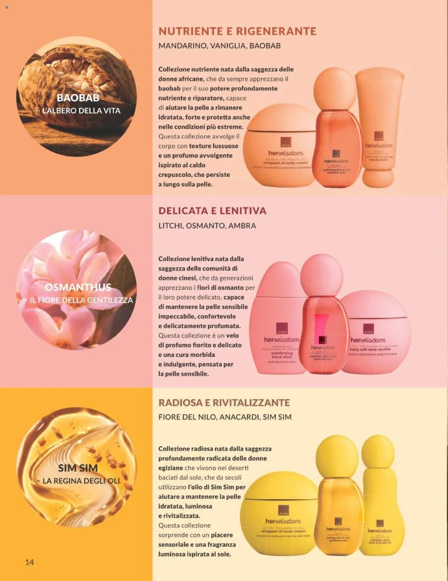 Avon catalogo - campagna 8/2026