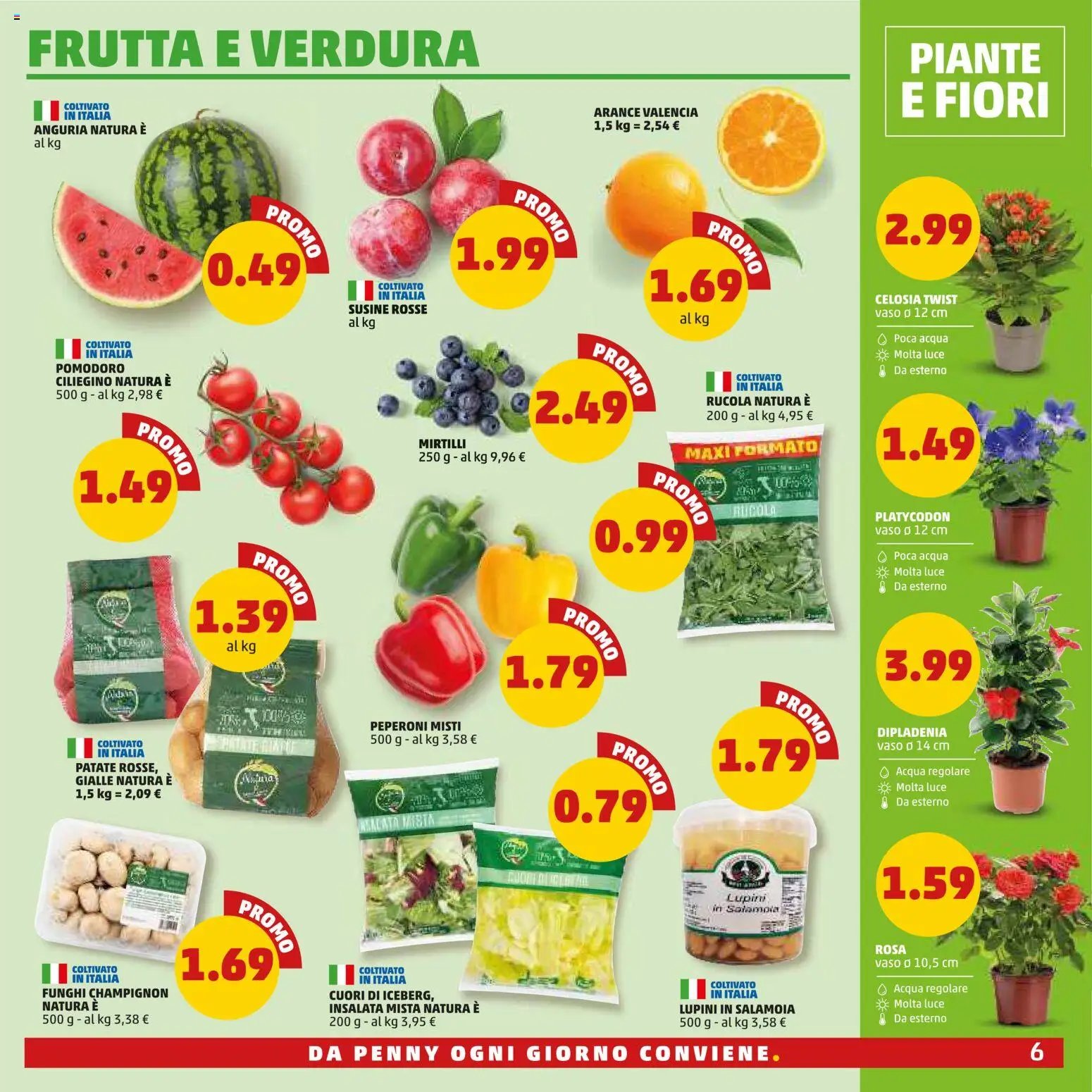 PENNY volantino Roma