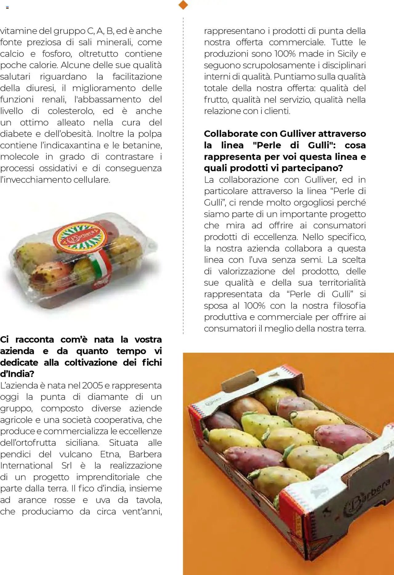 Gulliver Settembre catalogo (2025-09-01 - 2025-09-30)