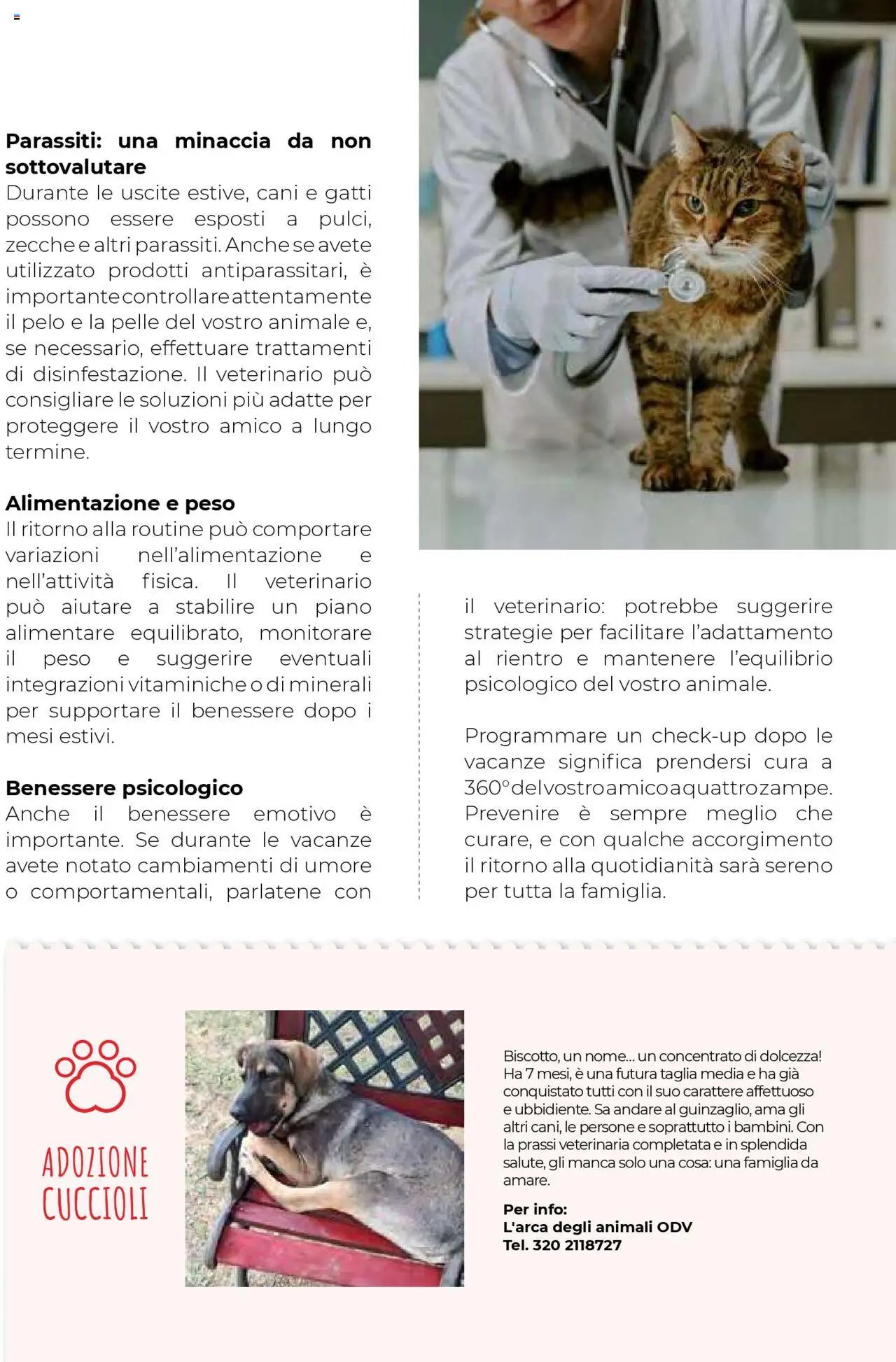 Gulliver Settembre catalogo (2025-09-01 - 2025-09-30)