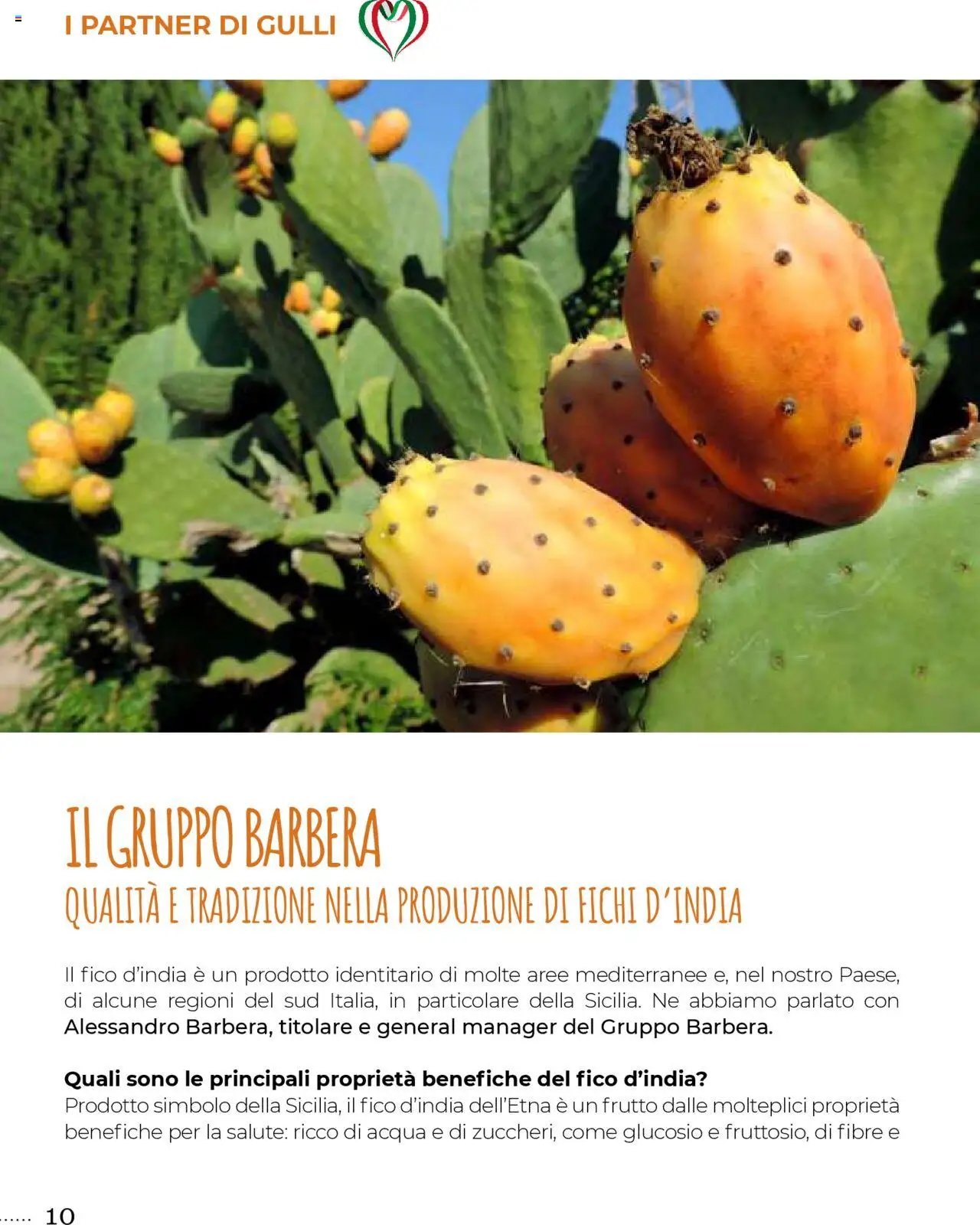 Gulliver Settembre catalogo (2025-09-01 - 2025-09-30)