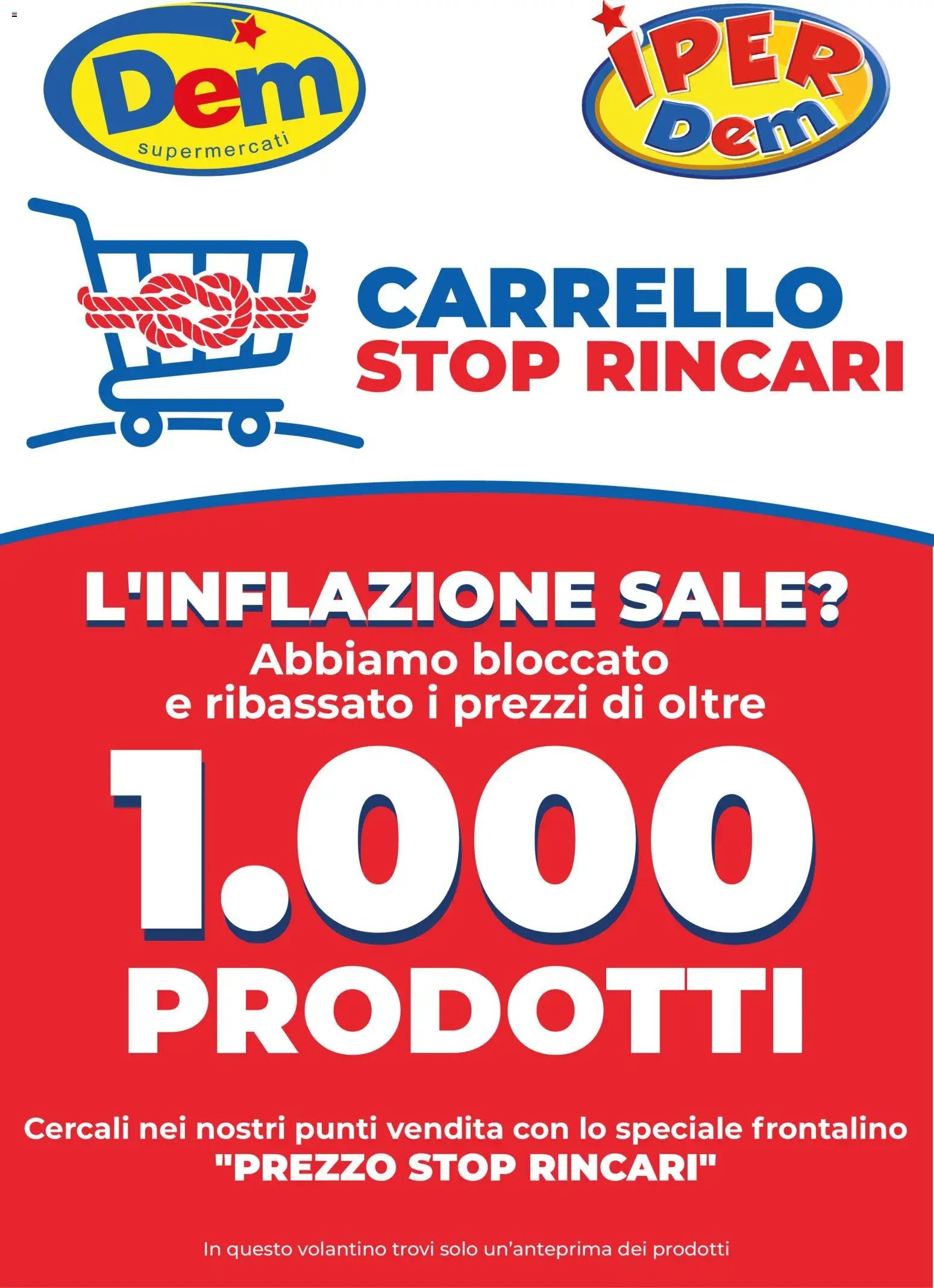 DEM volantino 1000 Prodotti