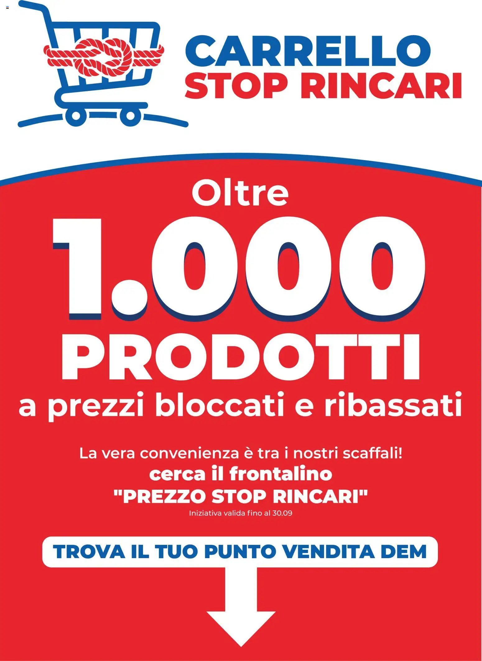 DEM volantino 1000 Prodotti