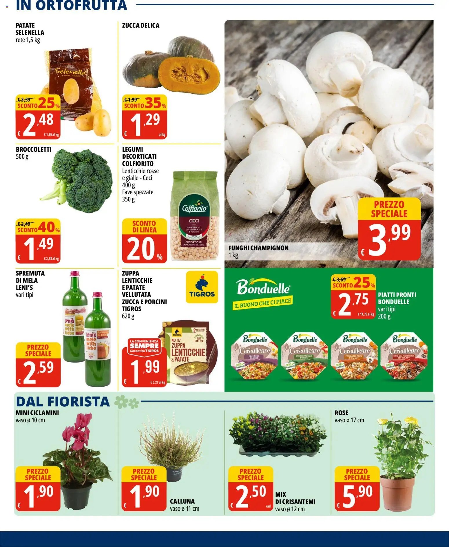 Tigros volantino