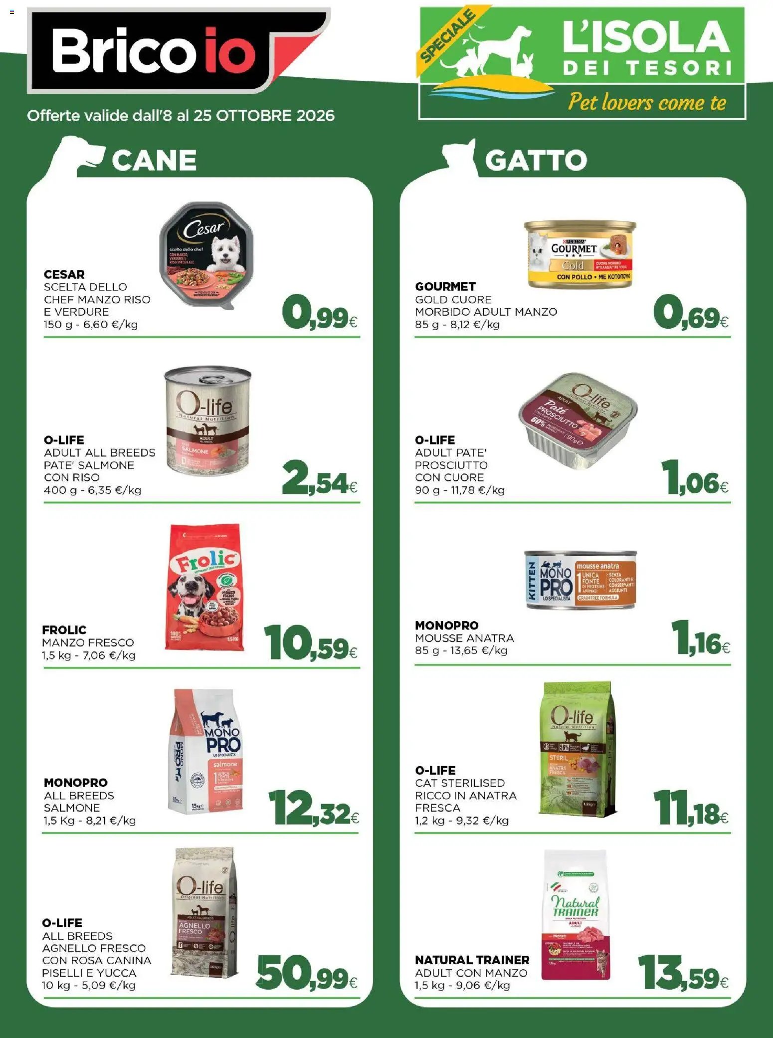 Brico io volantino