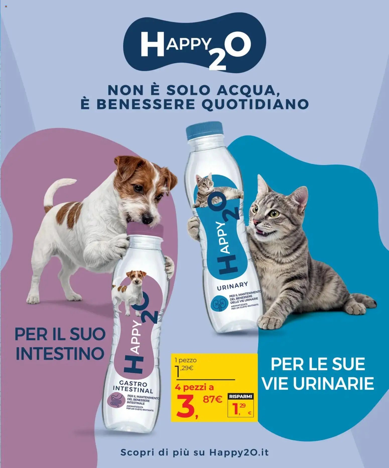 Arcaplanet volantino