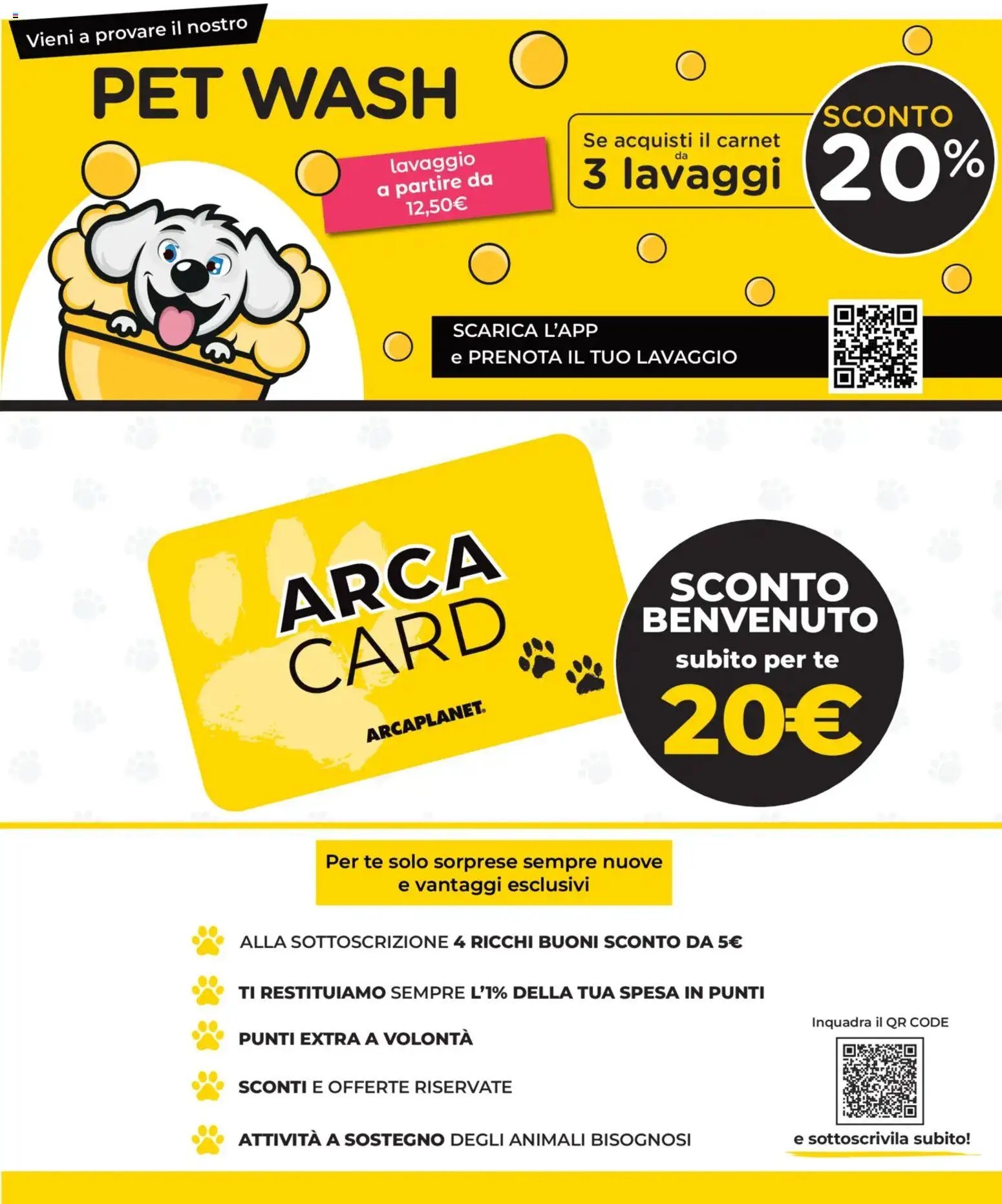 Arcaplanet volantino