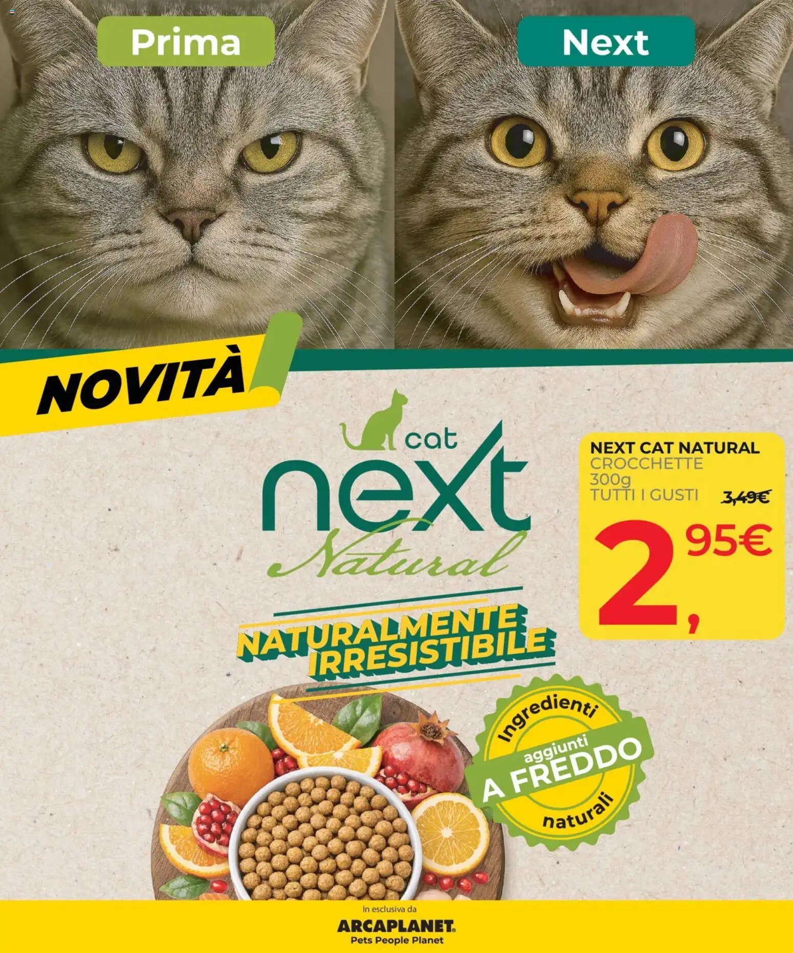 Arcaplanet volantino