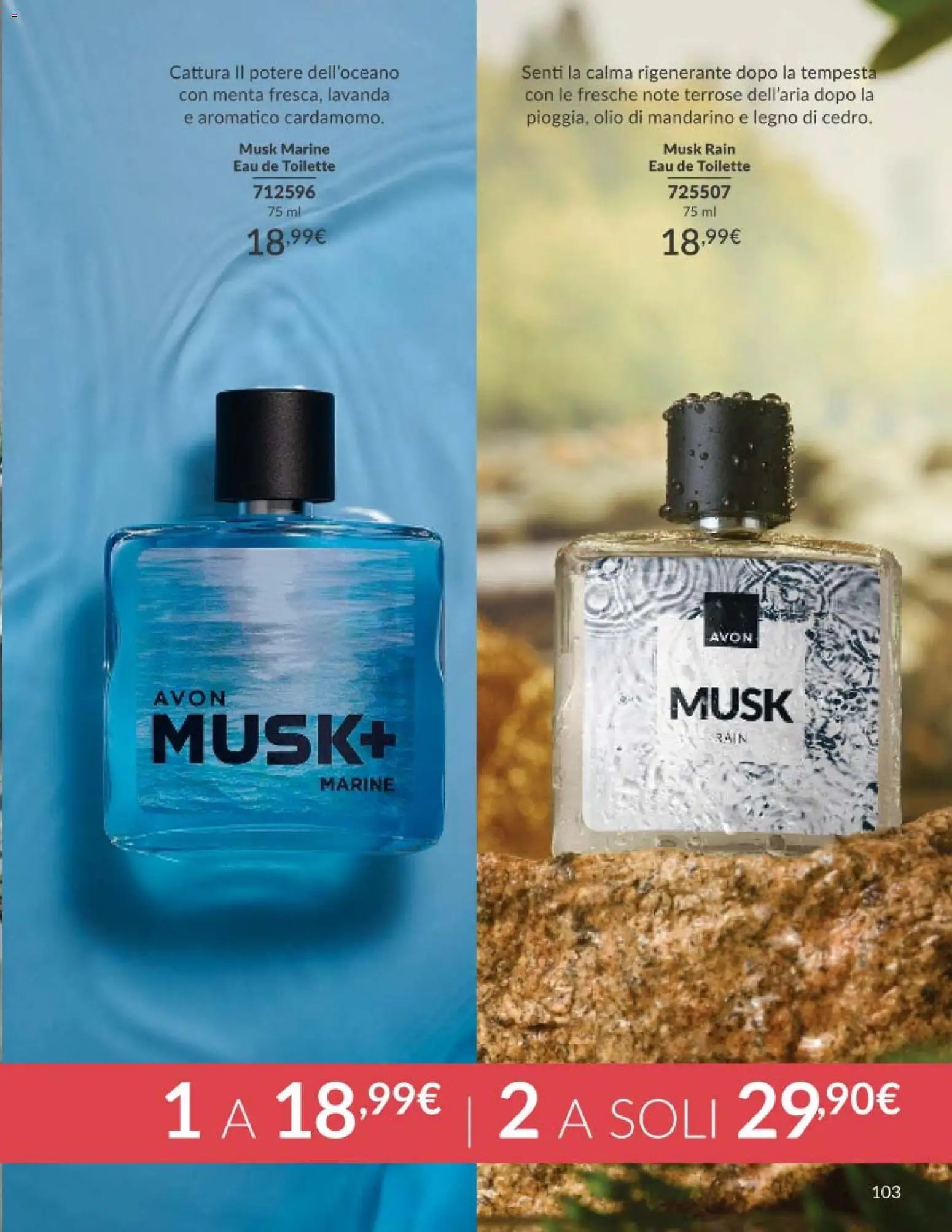 Avon catalogo - campagna 5/2026 (2026-05-01 - 2026-05-31)